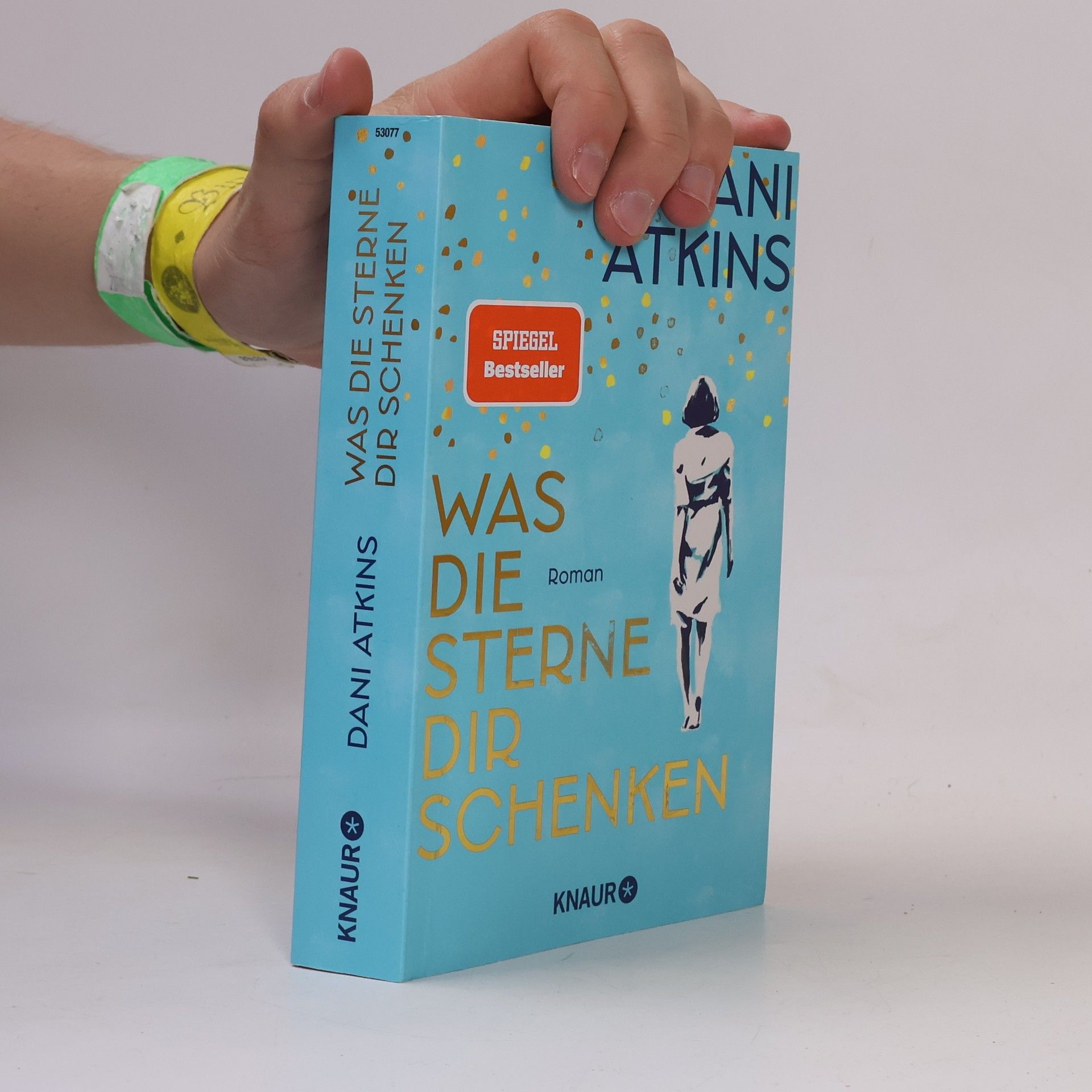 Dani Atkins Was die Sterne dir schenken