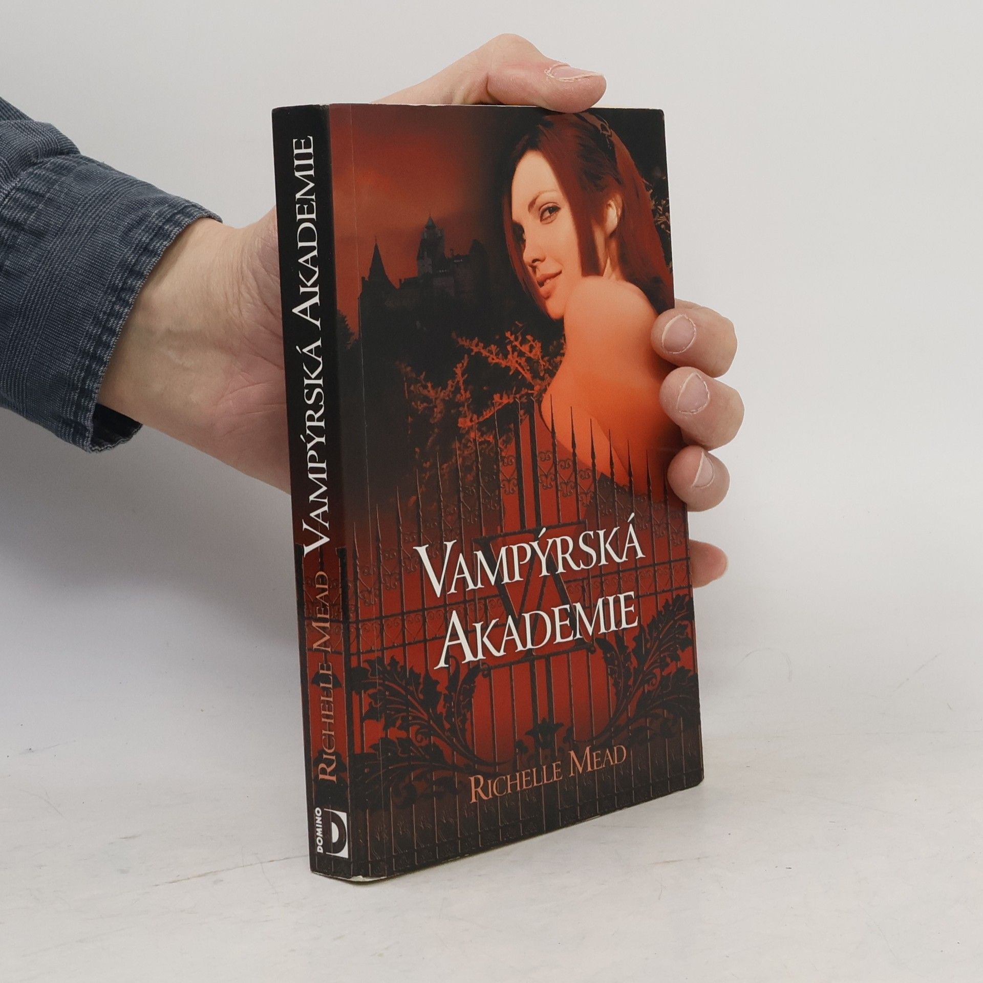 Richelle Mead Vampýrská akademie