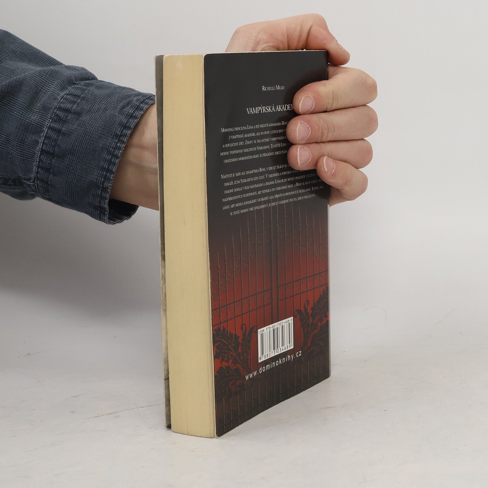 Richelle Mead Vampýrská akademie