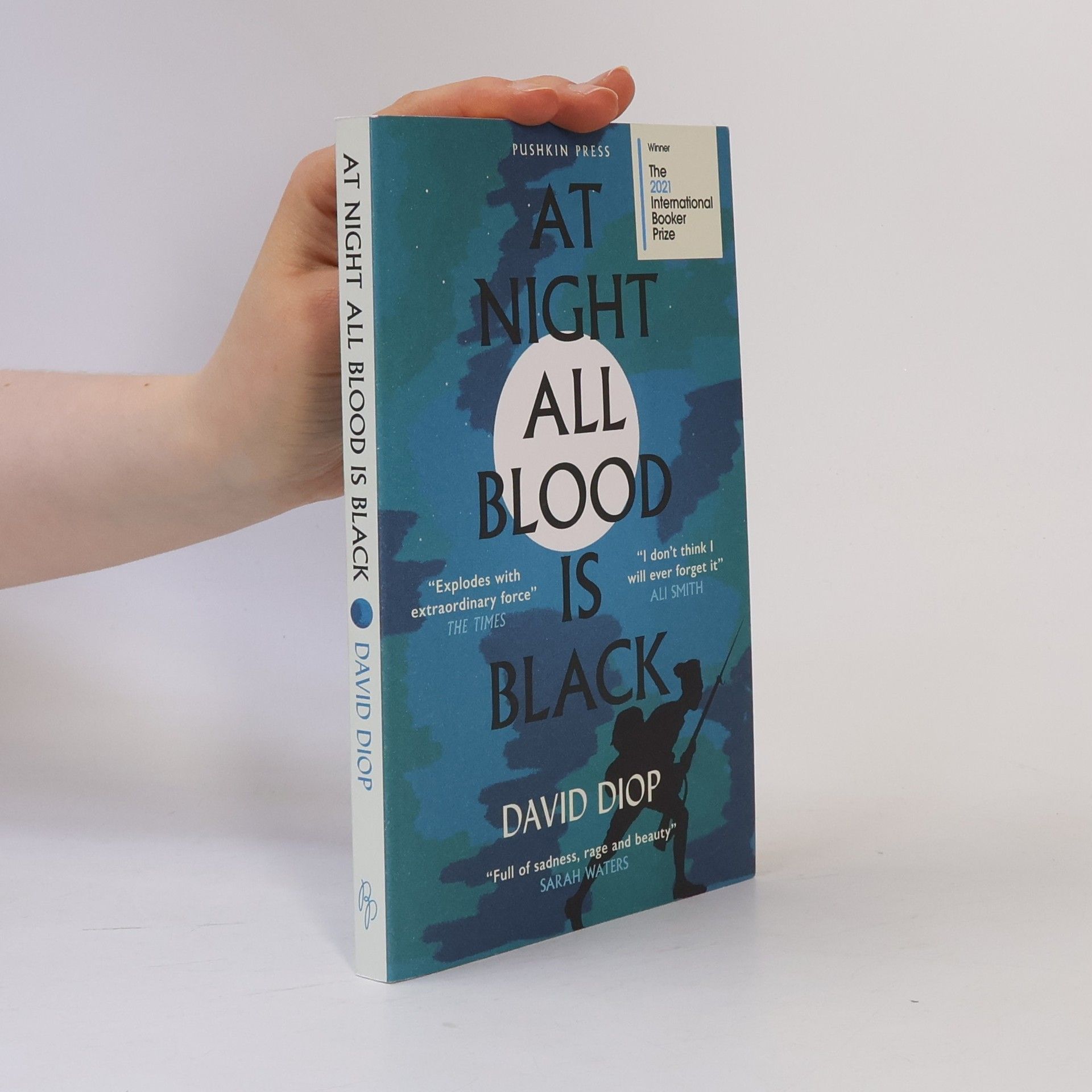 David Diop At Night All Blood Is Black