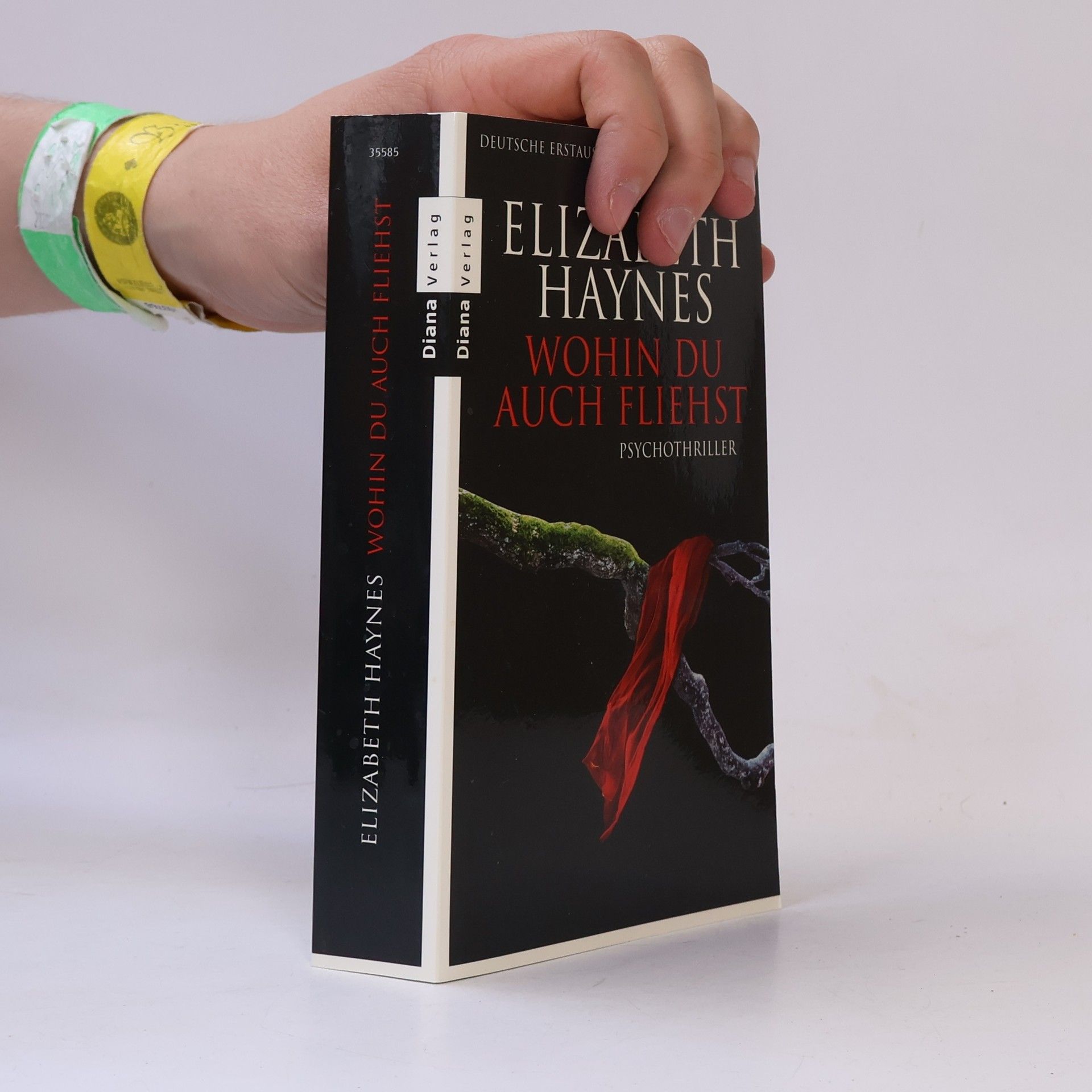 Elizabeth Haynes Wohin du auch fliehst