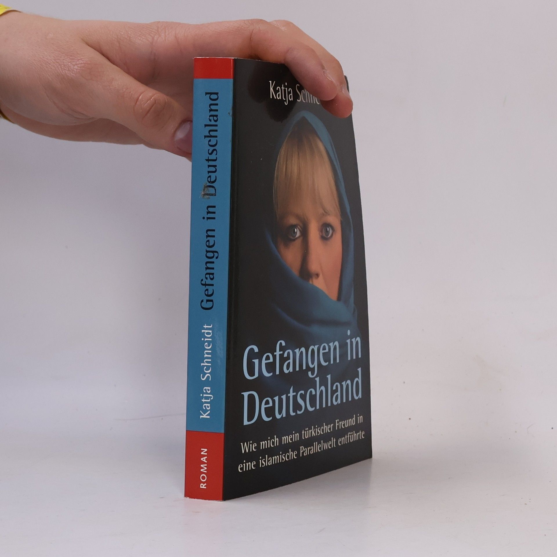 Katja Schneidt Gefangen in Deutschland
