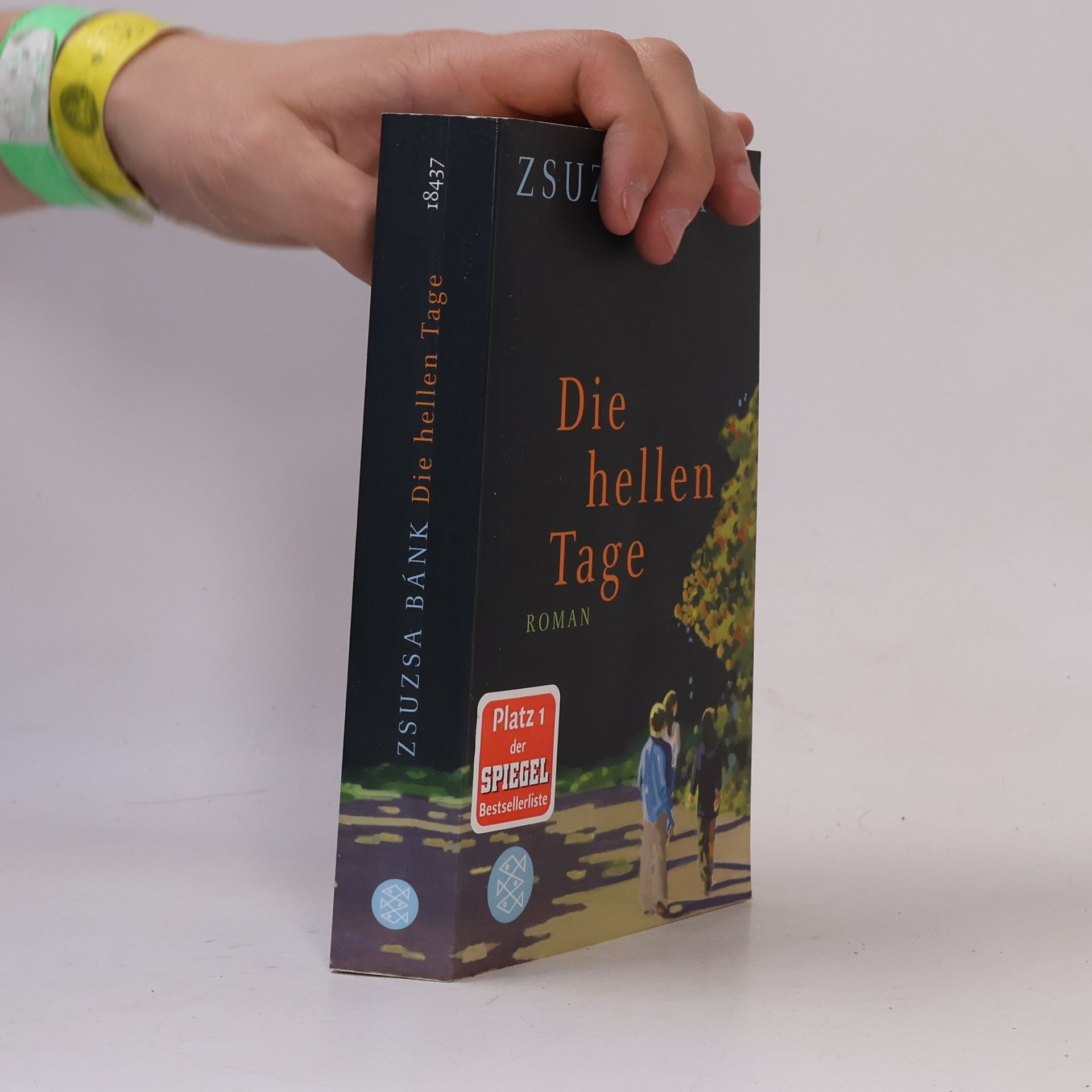 Zsuzsa Bánk Die hellen Tage
