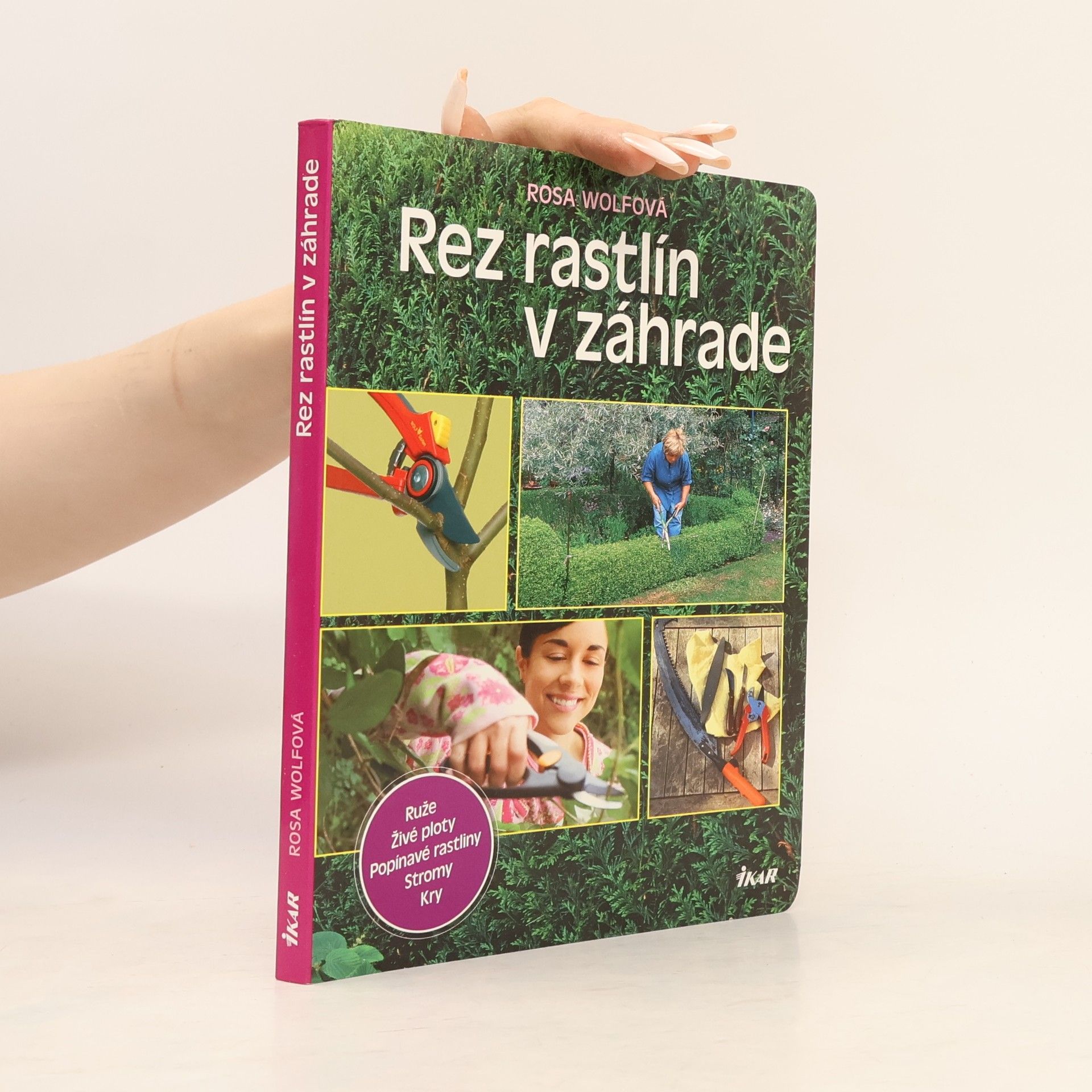 Rosa Wolf Rez rastlin v záhrade