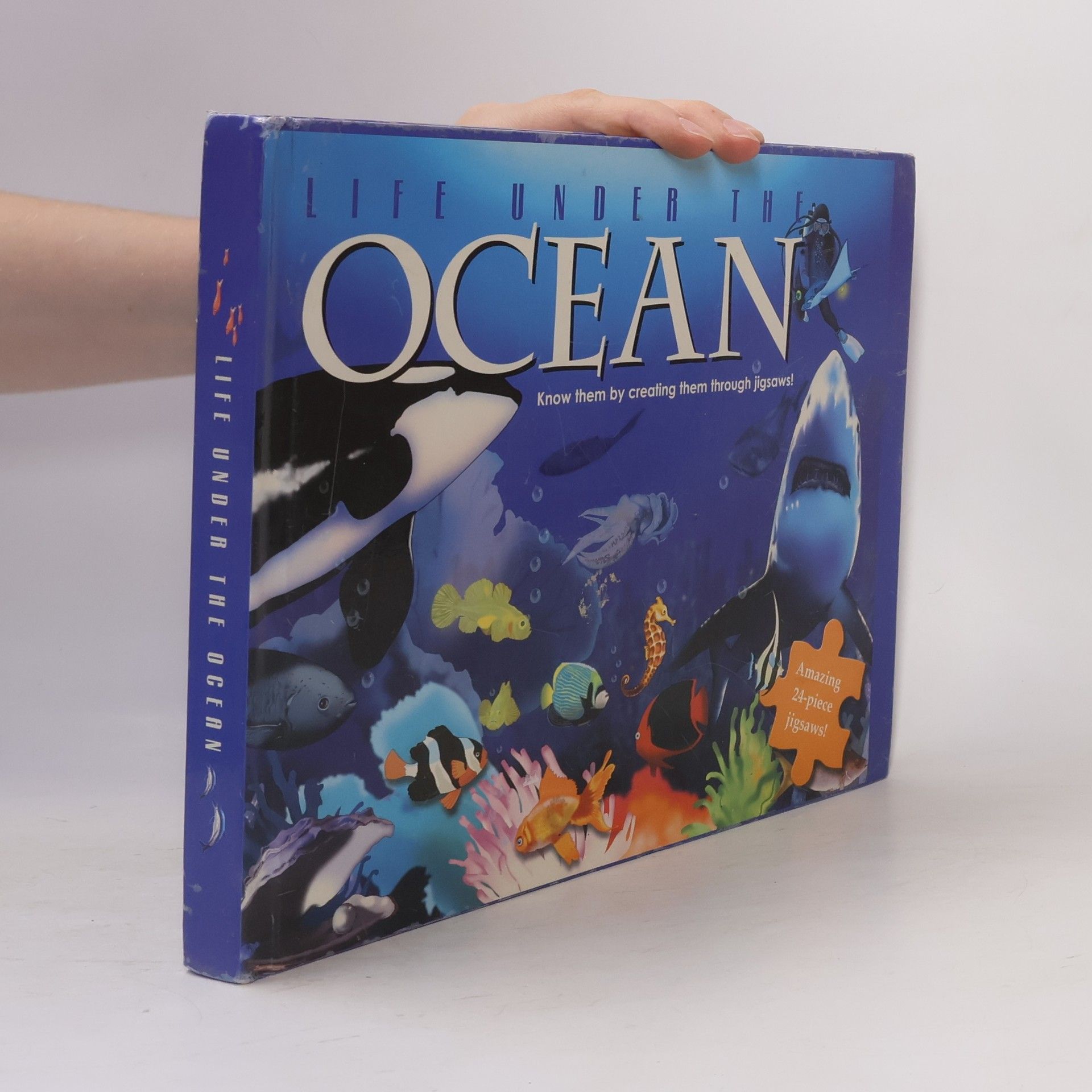 Kolektiv autorů Life under the Ocean