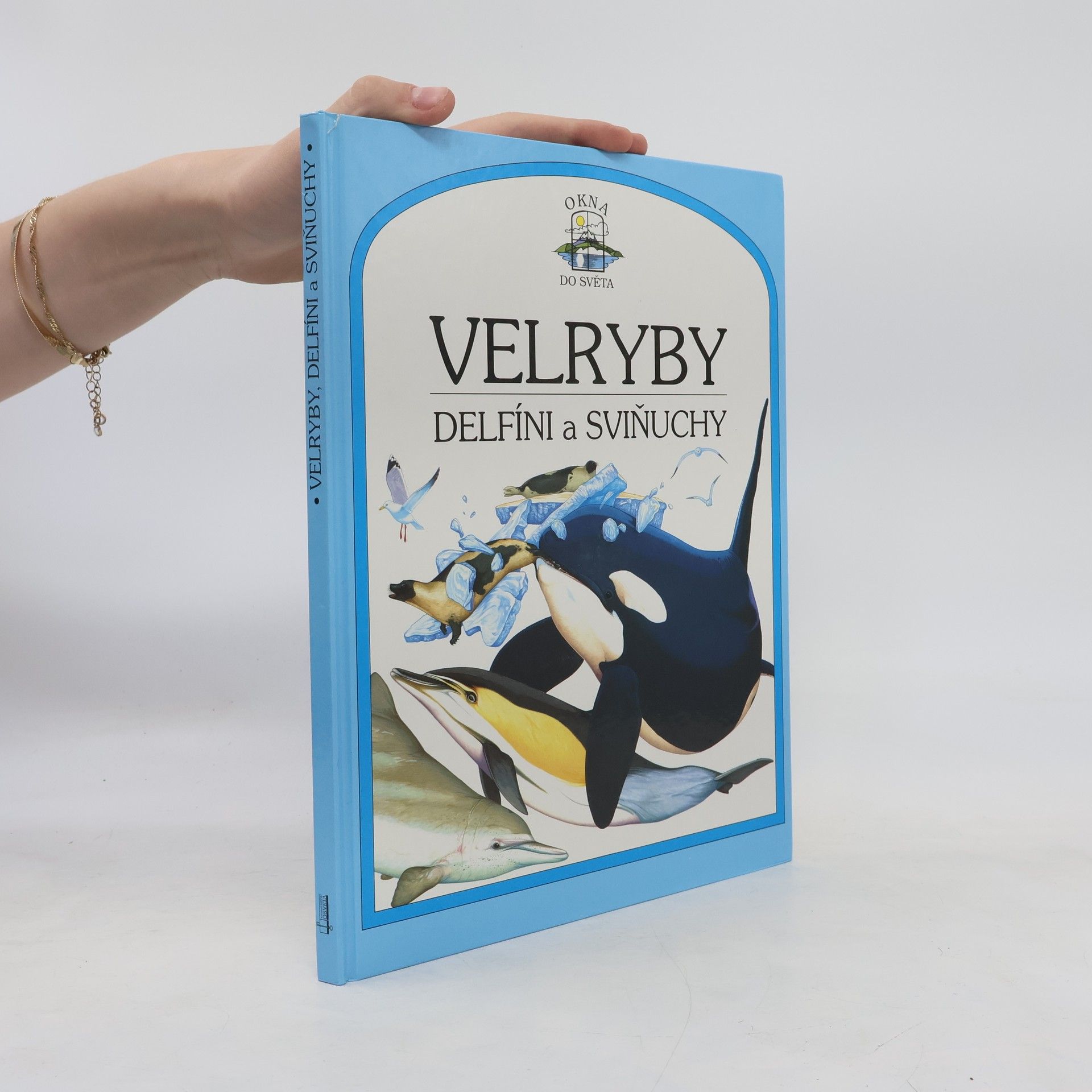 Velryby, delfíni a sviňuchy