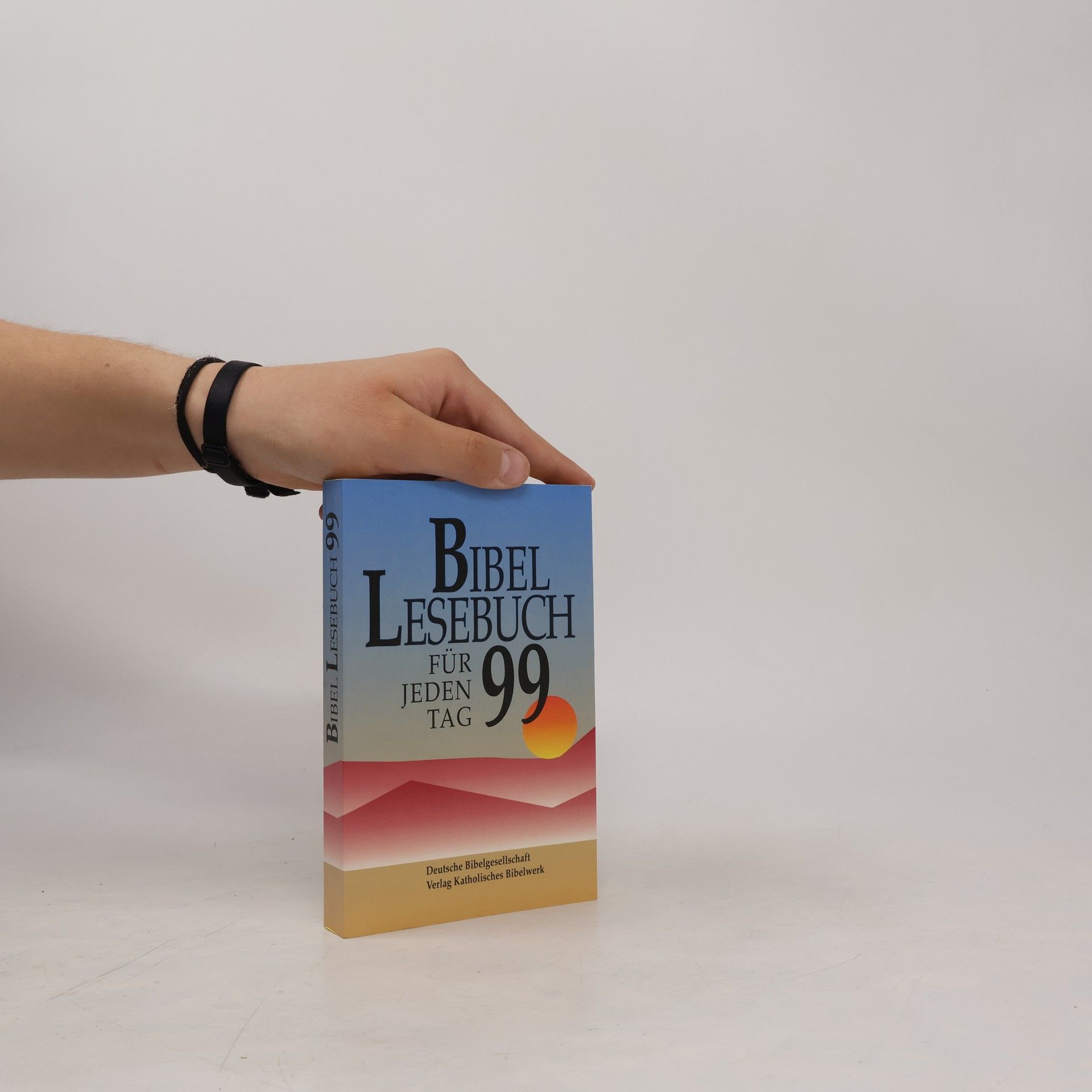 Collectif d'auteurs Bibellesebuch '99. Für jeden Tag.