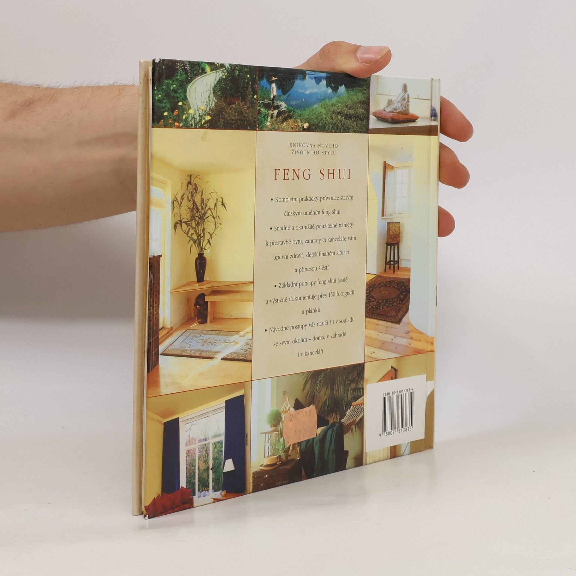 Richard Templar Feng shui