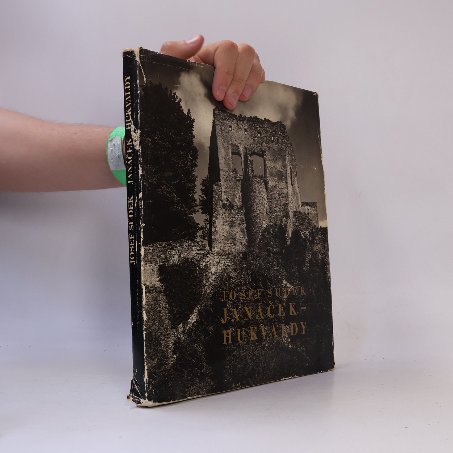 Josef Sudek Janáček - Hukvaldy
