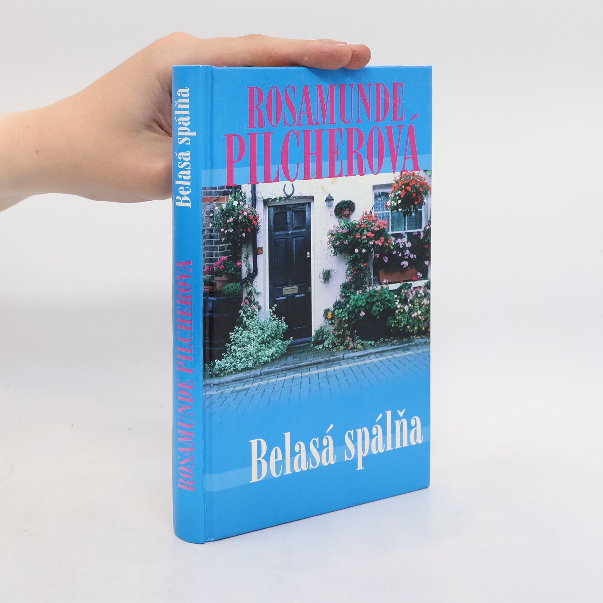 Rosamunde Pilcherová Belasá spálňa