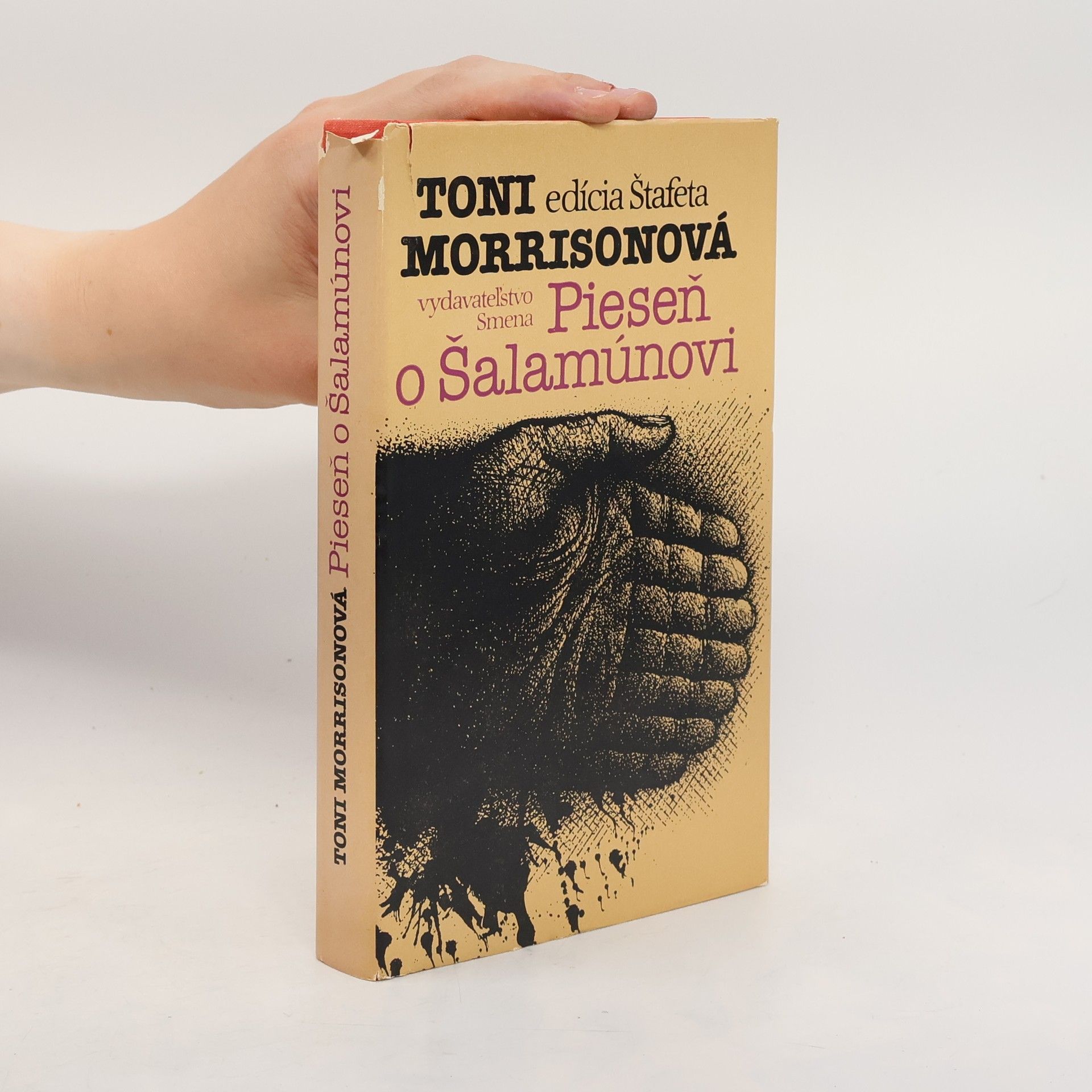 Pieseň o Šalamúnovi
