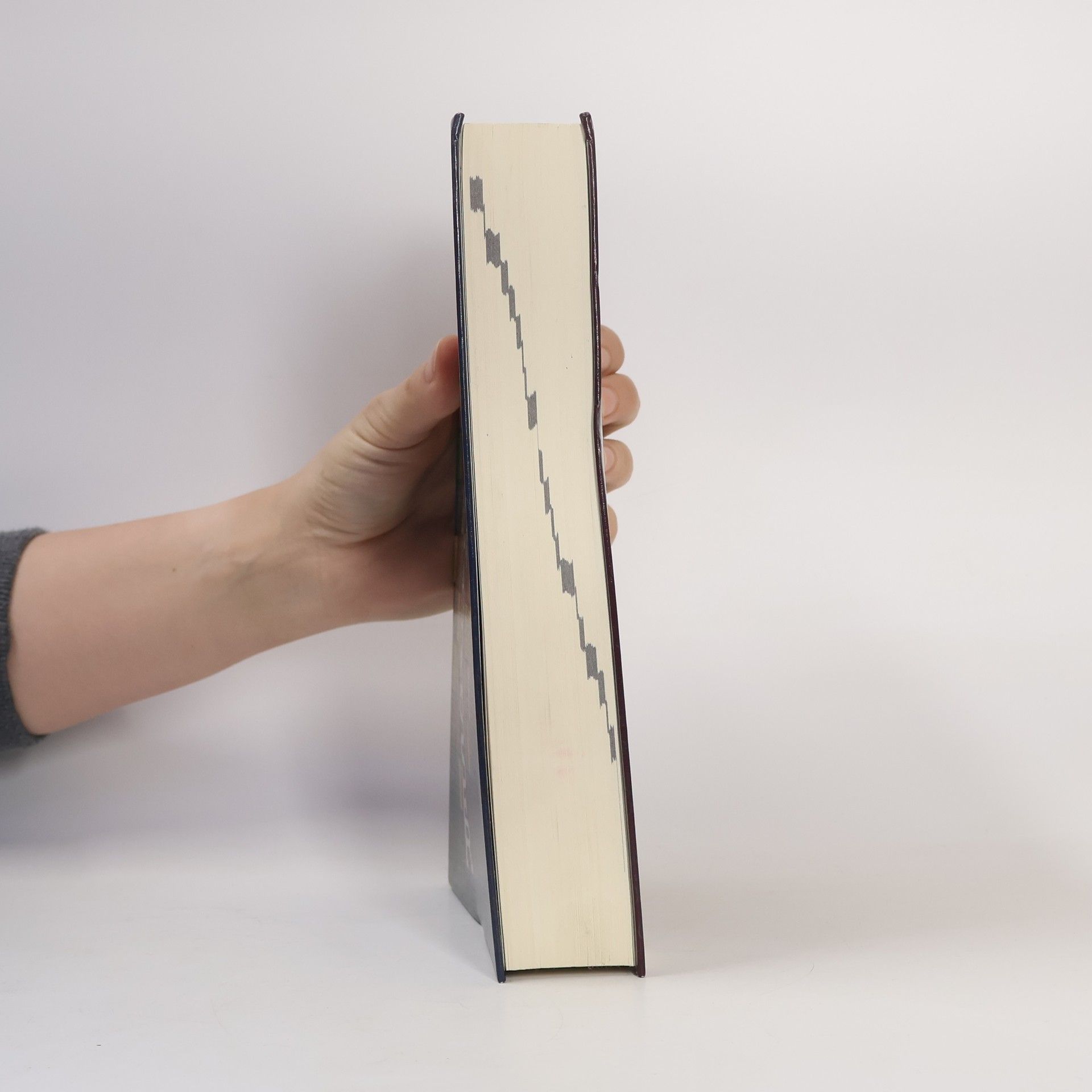 Joseph Maria Stowasser Lateinisch-Deutsches Schulwörterbuch
