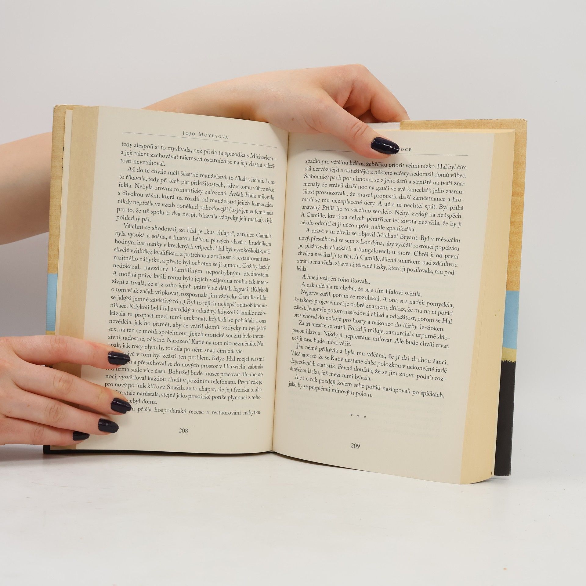 Jojo Moyes Zakázané ovoce