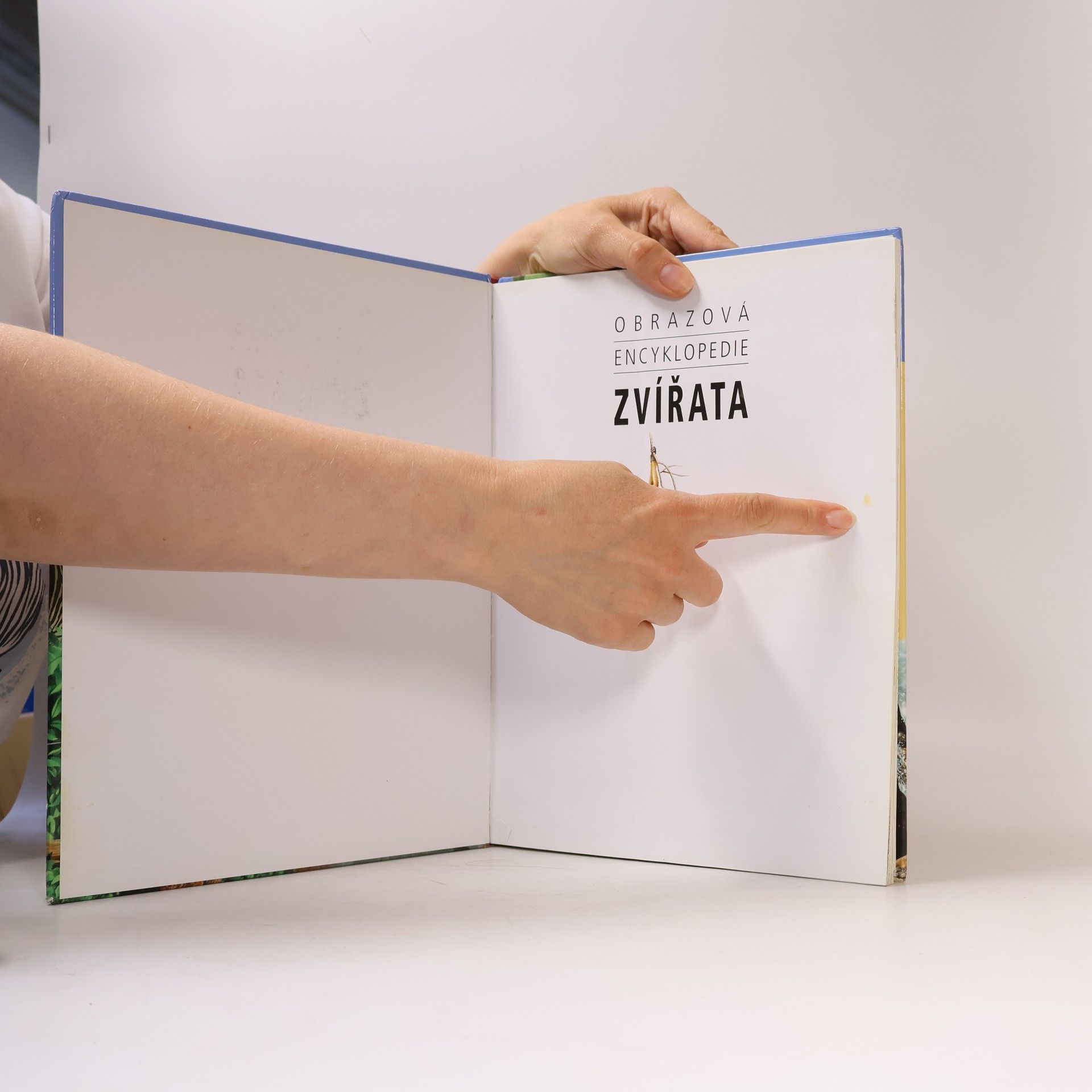 Rupert Matthews Zvířata. Obrazová encyklopedie