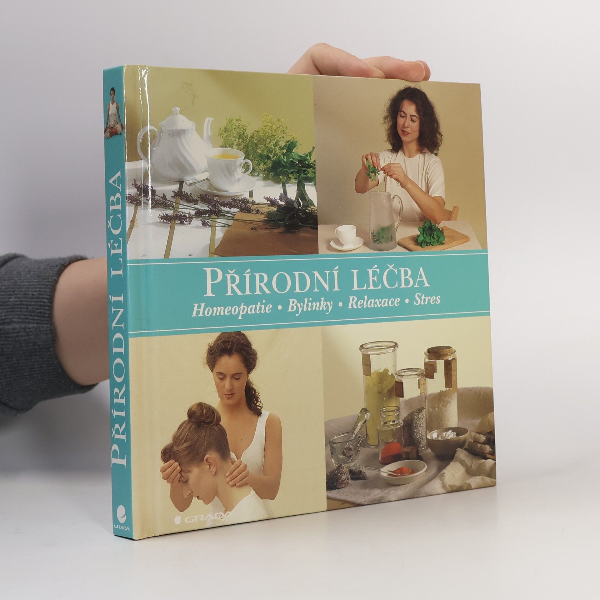 Sue Hawkey Přírodní léčba : homeopatie, bylinky, relaxace, stres