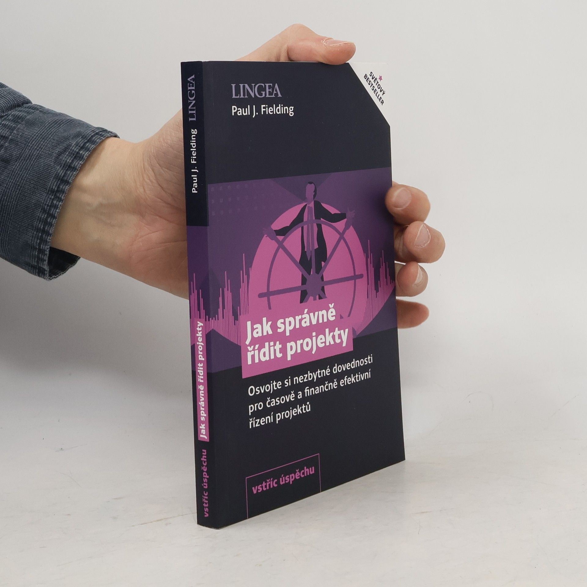 Paul J. Fielding Jak správně řídit projekty
