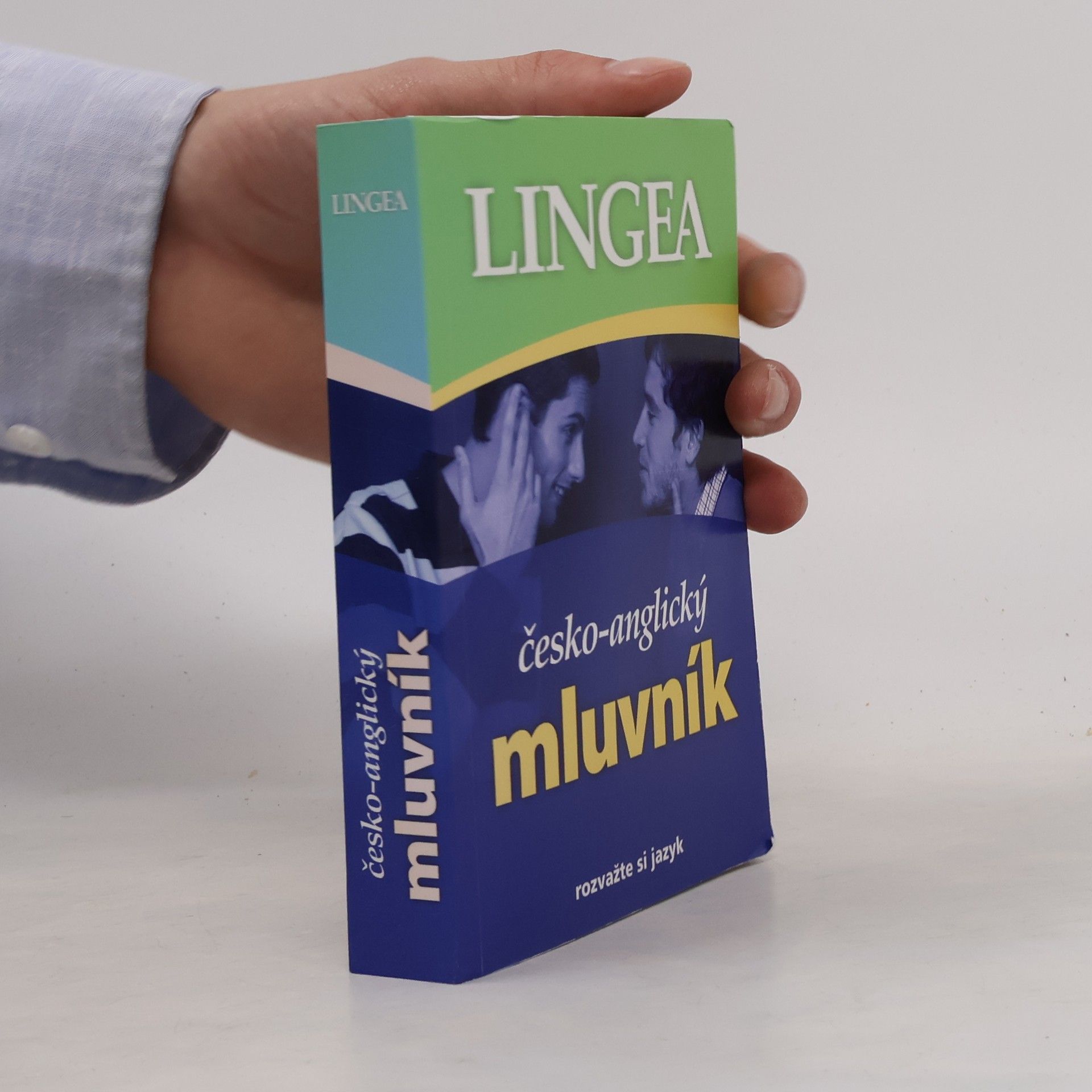 Autorenkollektiv Česko-anglický mluvník