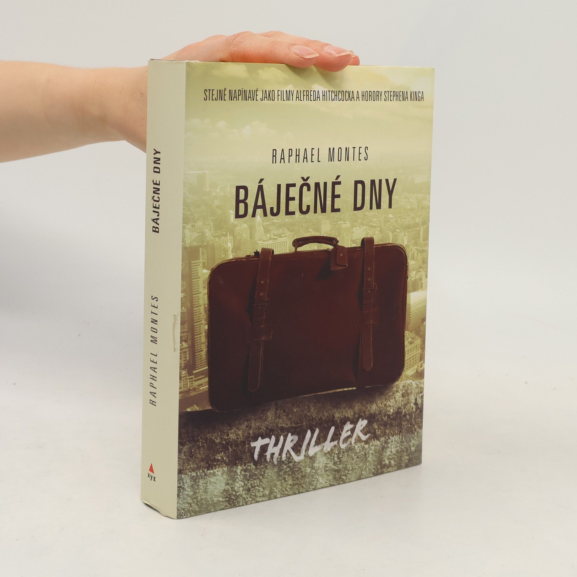 Raphael Montes Báječné dny