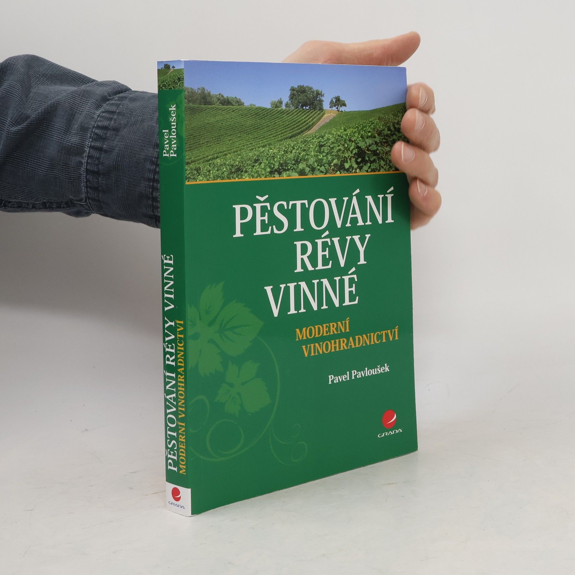 Patrik Burg Pěstování révy vinné
