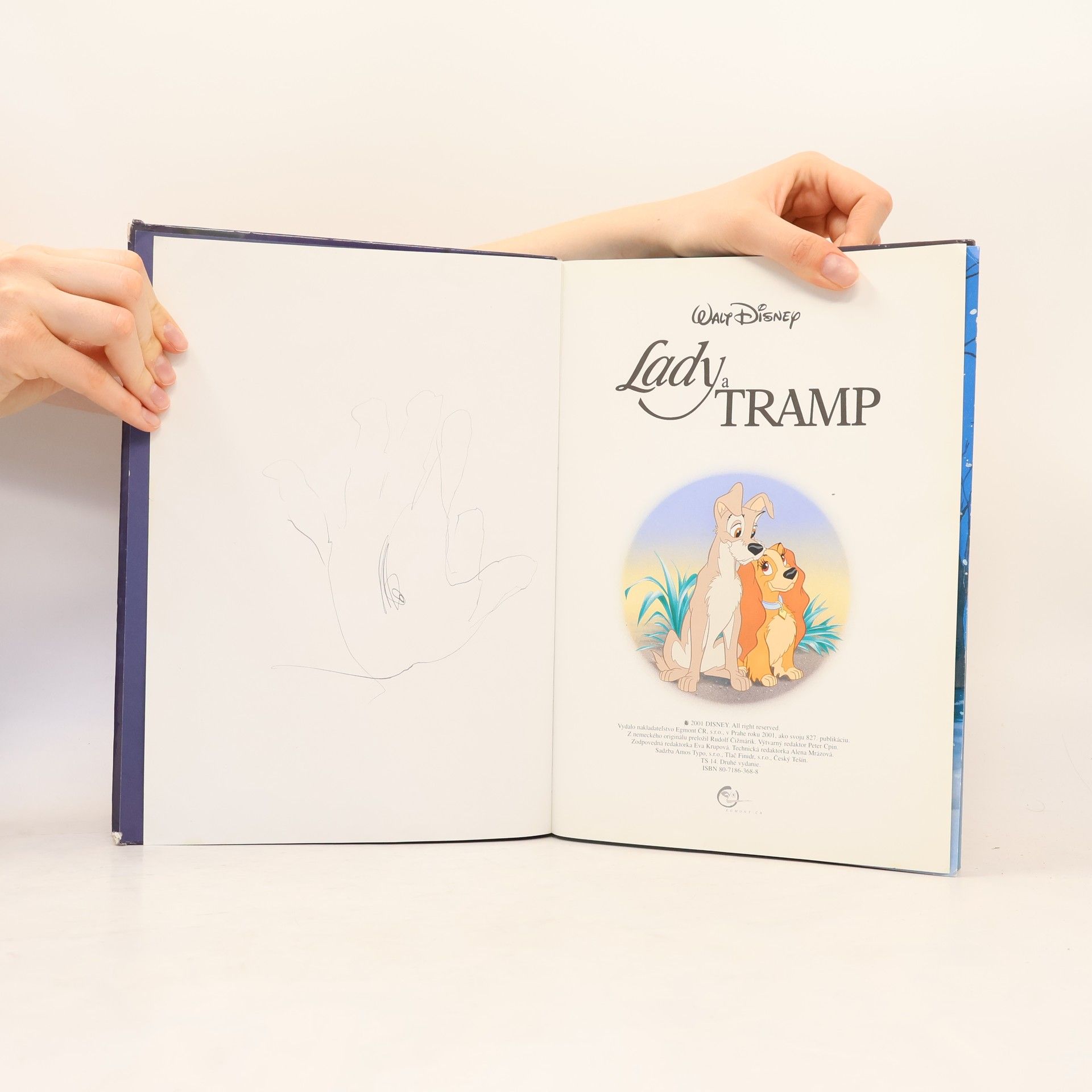Walt Disney Lady a Tramp