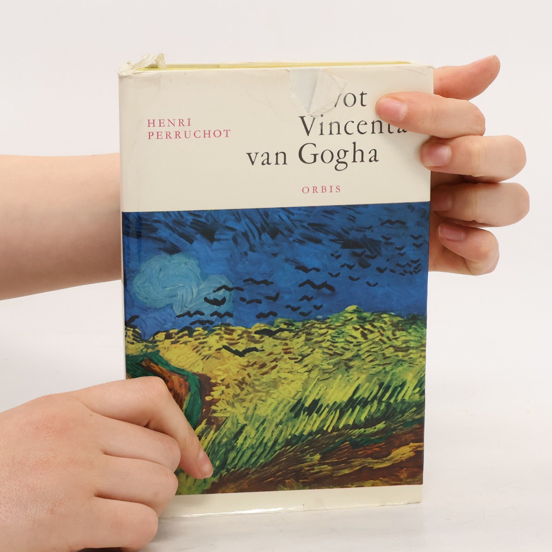 Henri Perruchot Život Vincenta van Gogha