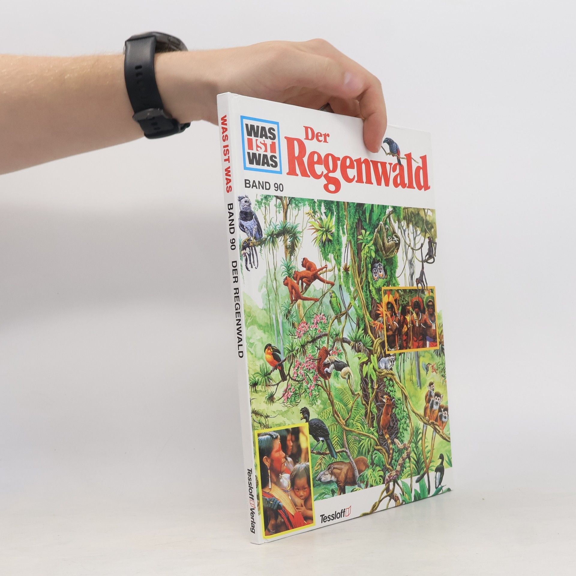 Andrea Mertiny Der Regenwald