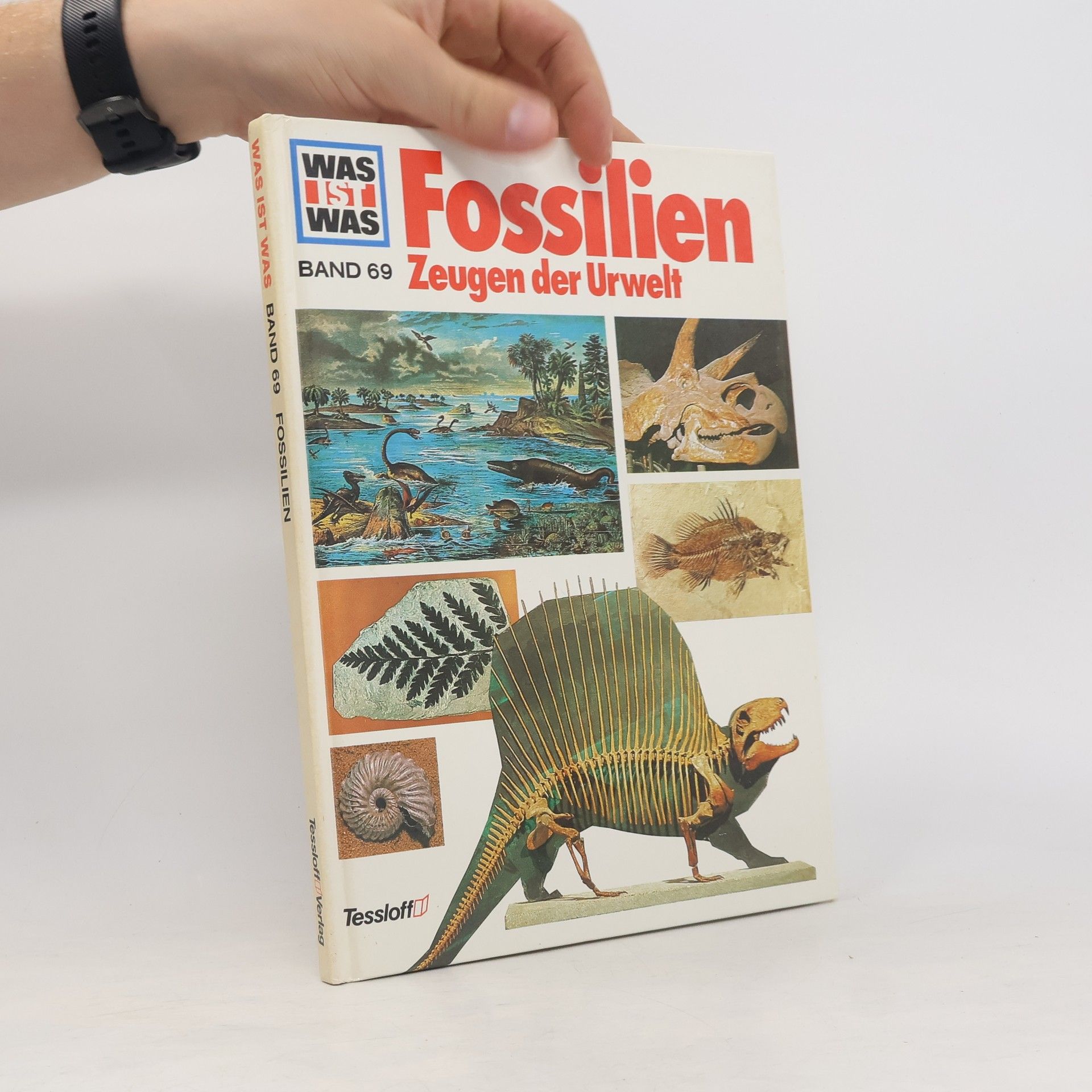 Hans Reichardt Fossilien