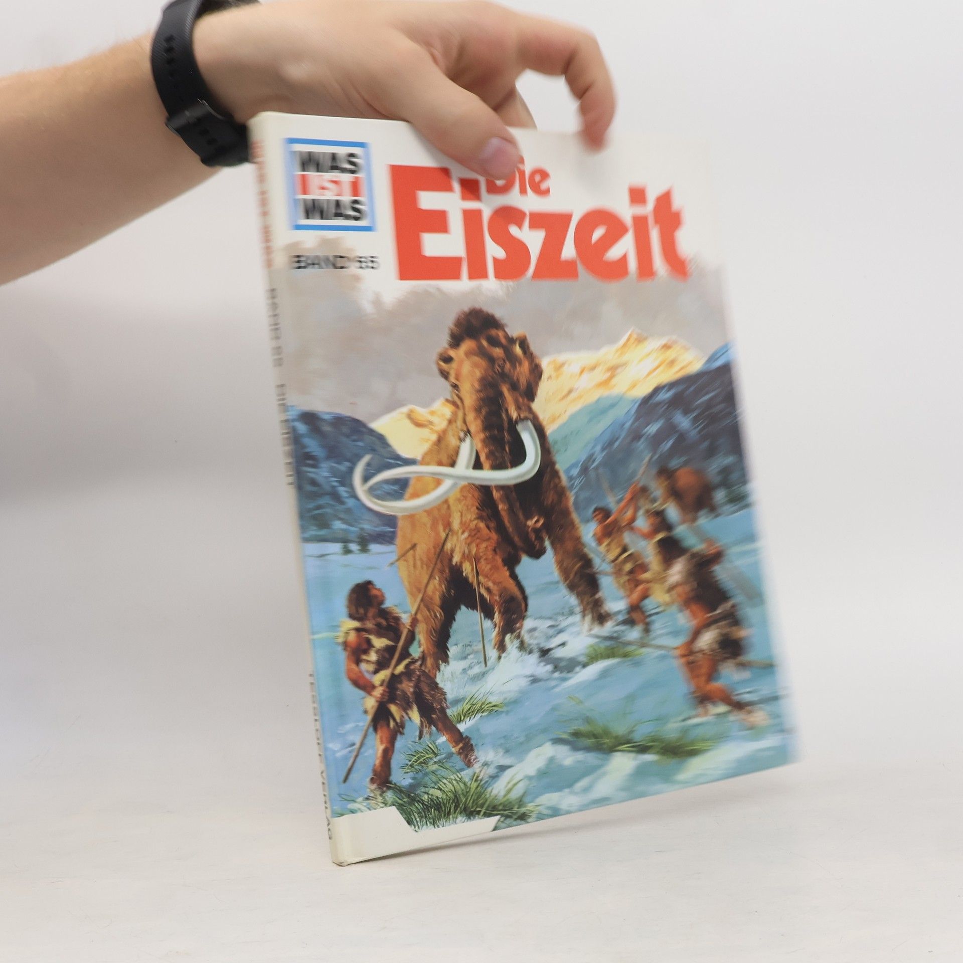 Hans Reichardt Die Eiszeit