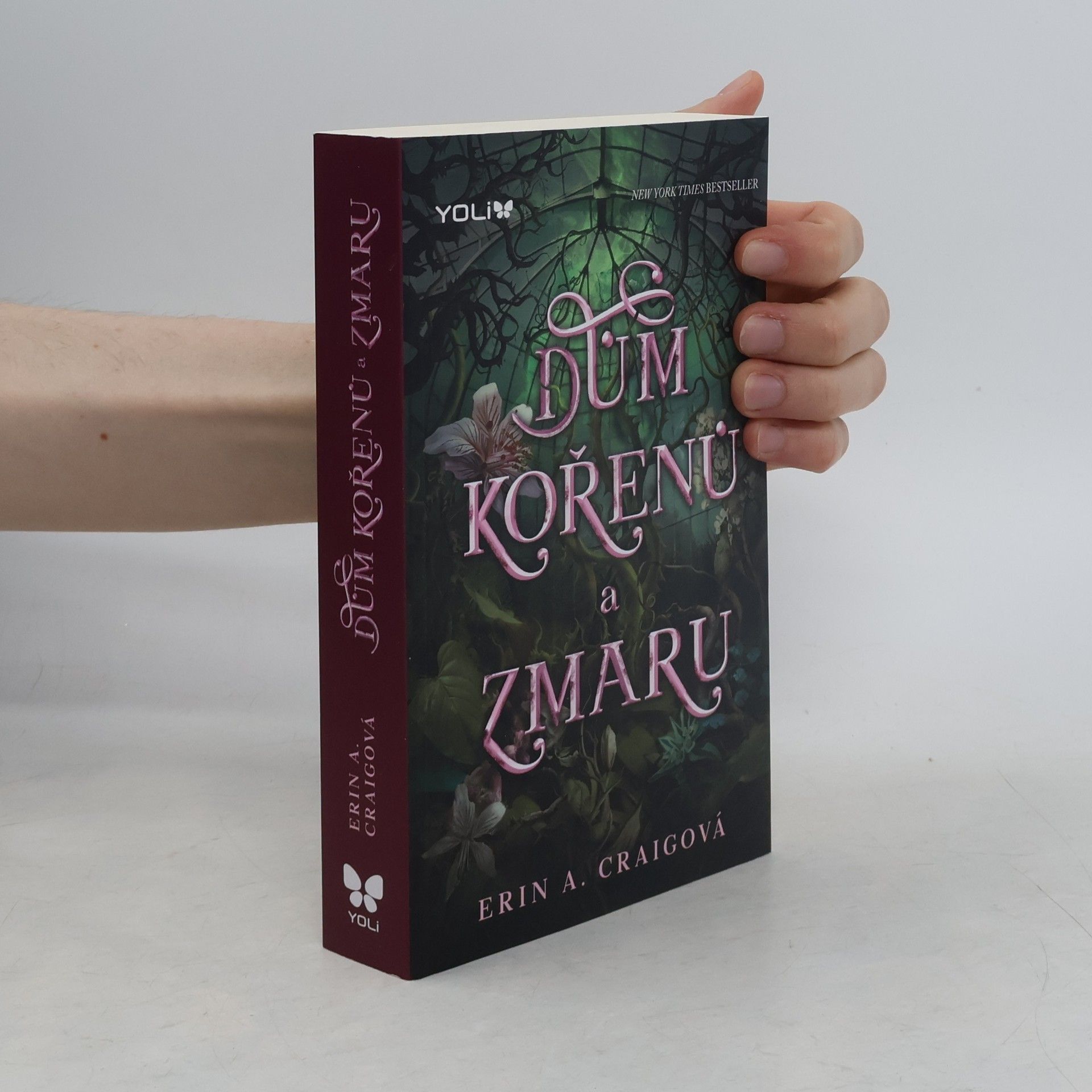 Erin A. Craig Dům kořenů a zmaru
