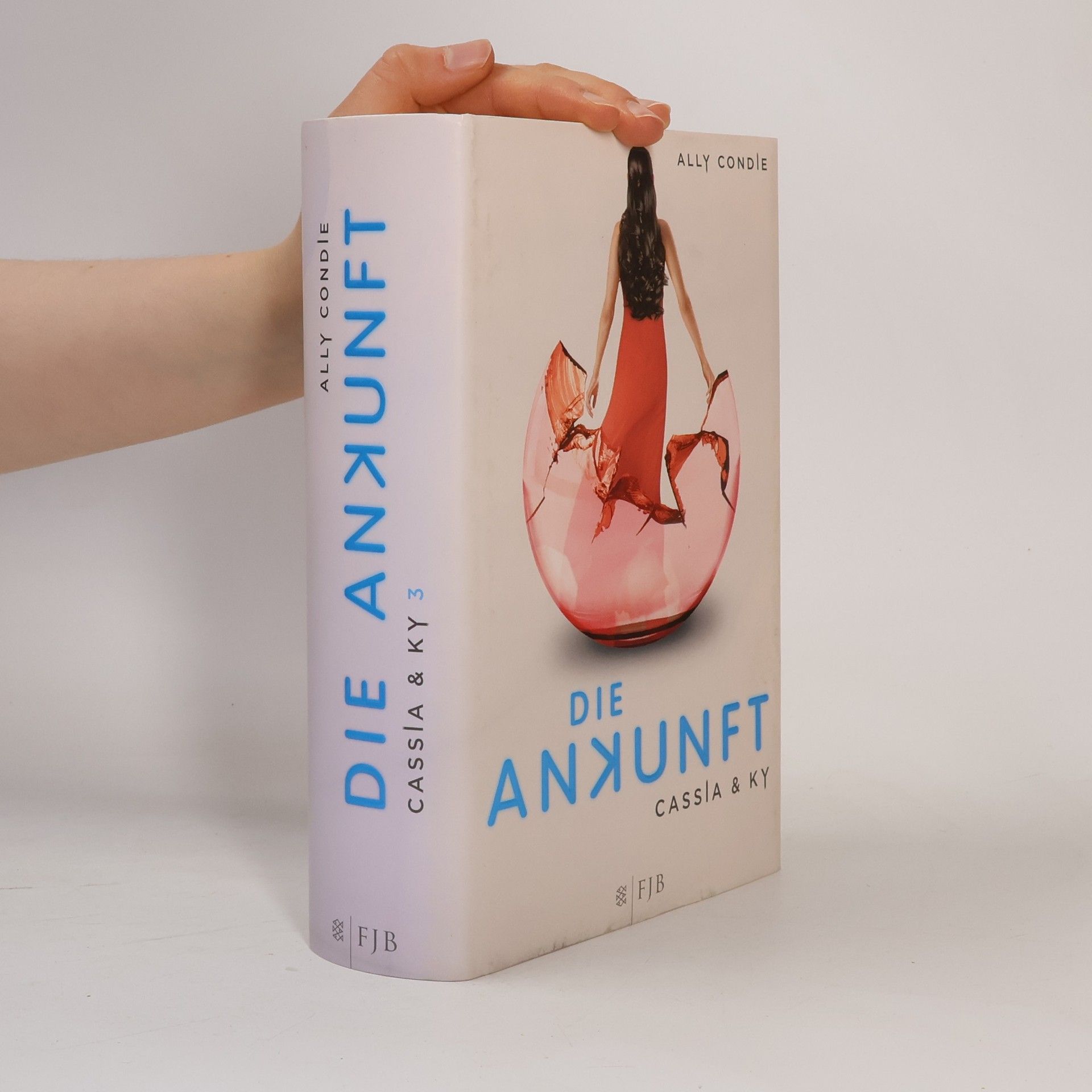 Die Ankunft