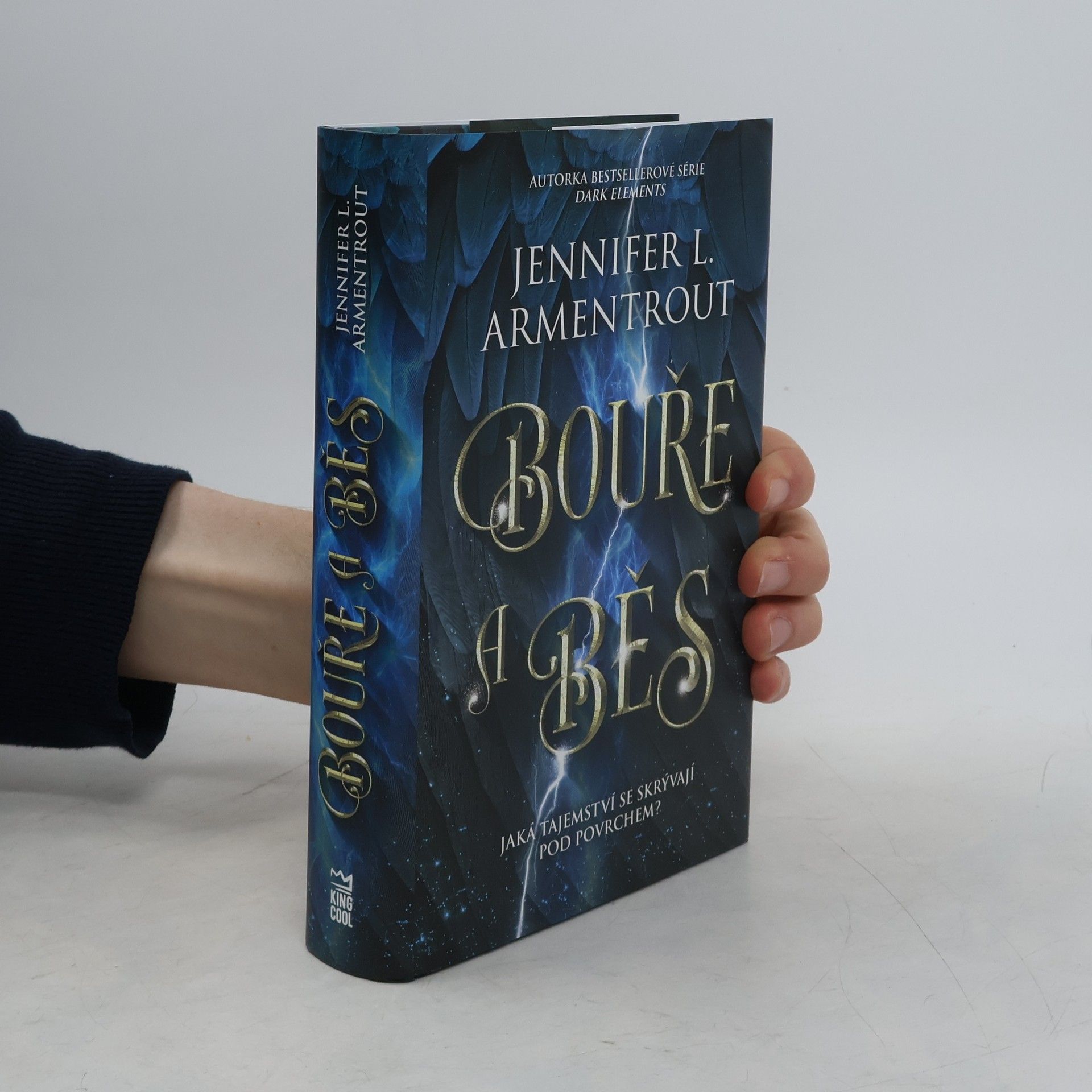 Jennifer L. Armentrout Bouře a běs