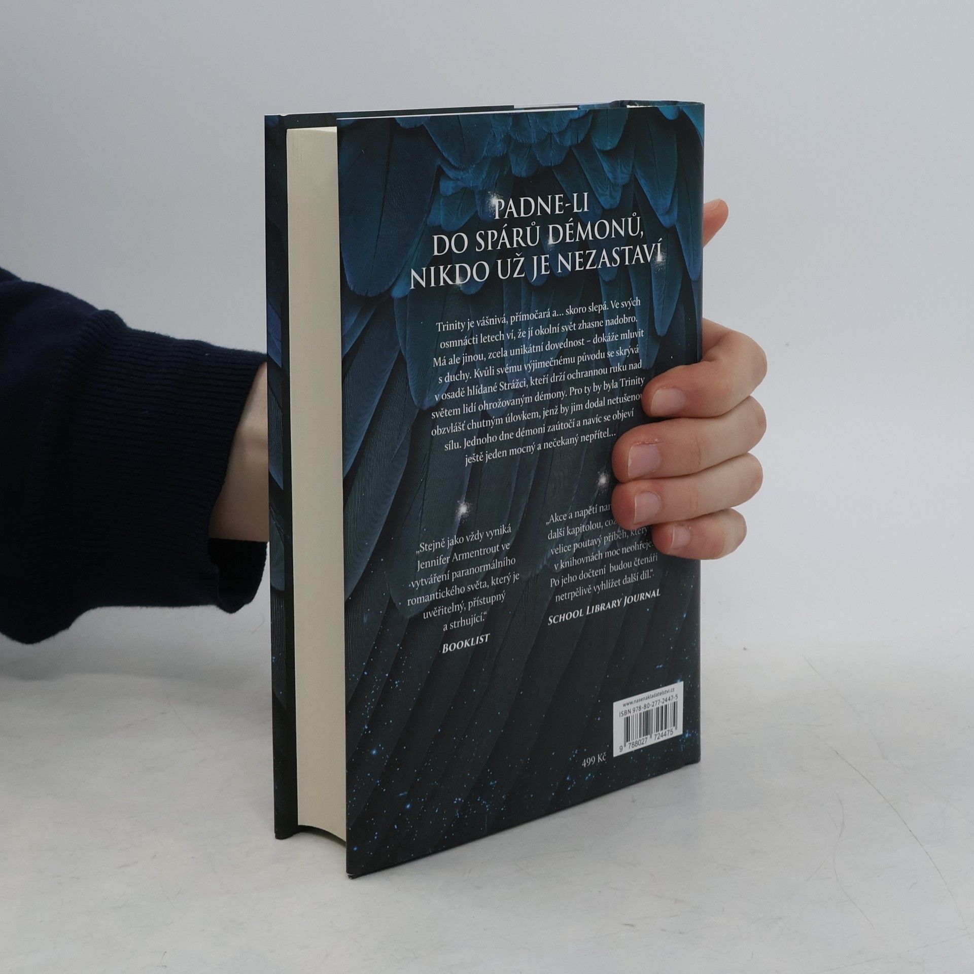 Jennifer L. Armentrout Bouře a běs