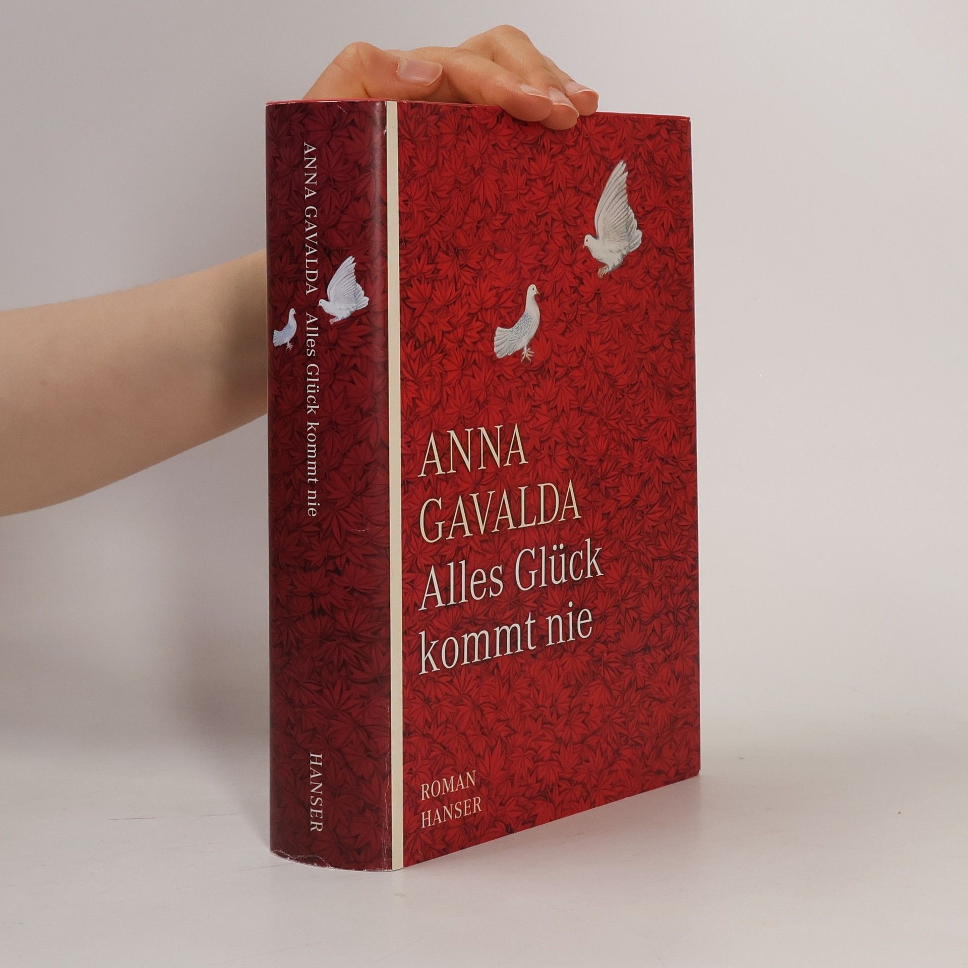 Anna Gavalda Alles Glück kommt nie