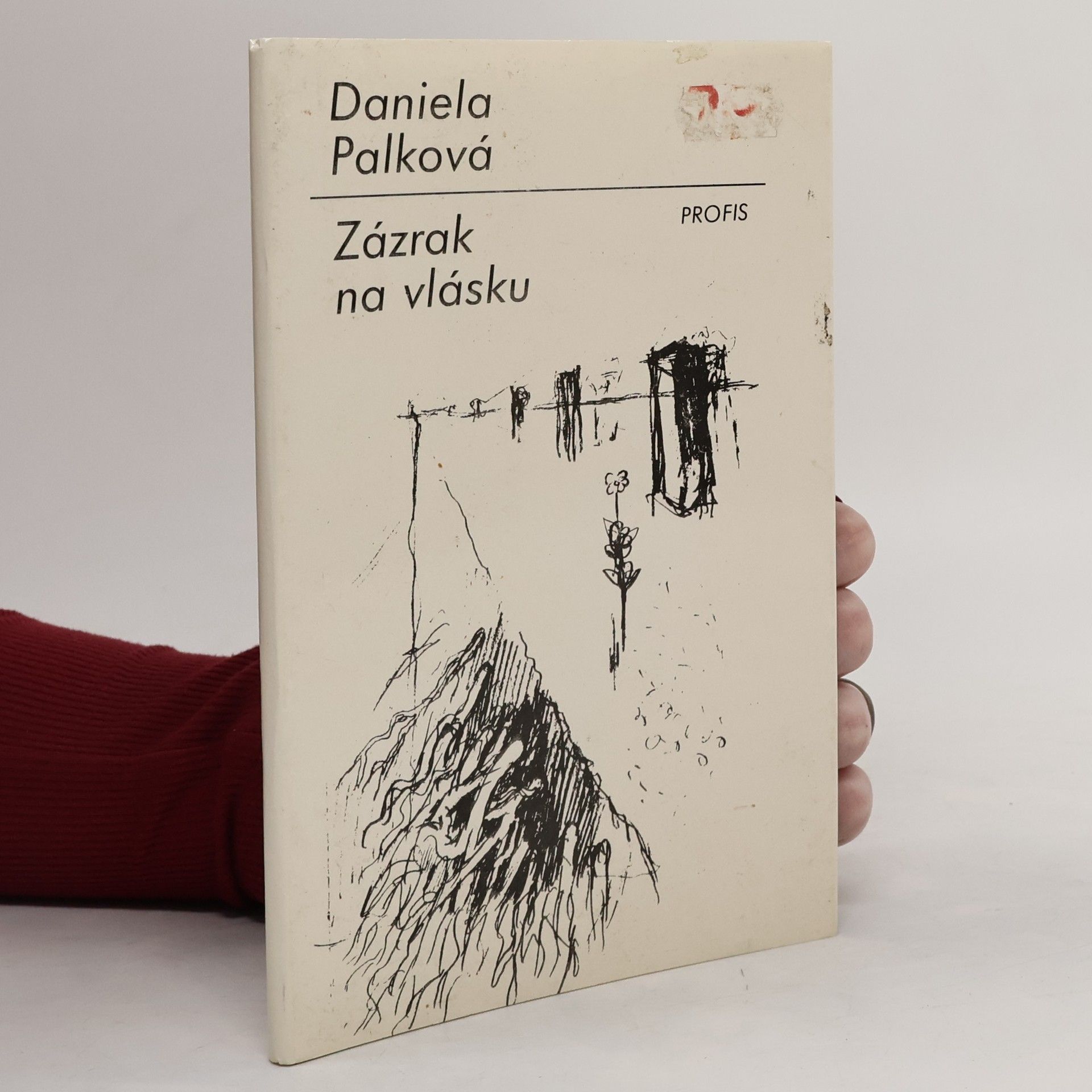Daniela Palkova Zázrak na vlásku