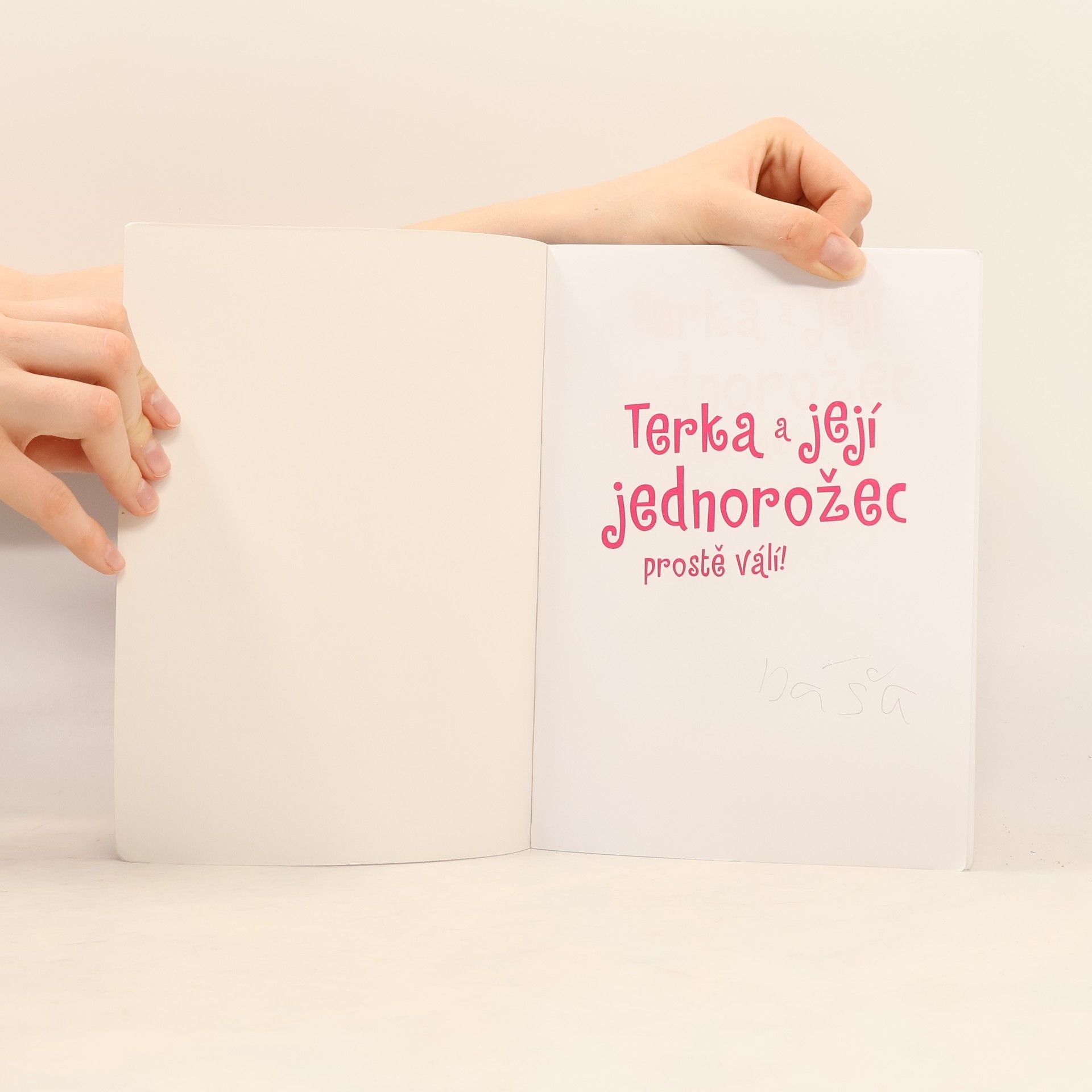 Dana Claire Simpson Terka a její jednorožec prostě válí!