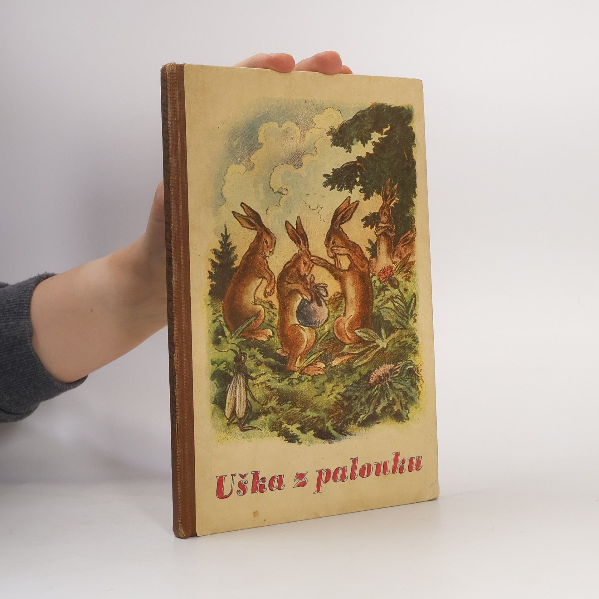 Marie Krejčová Uška z palouku