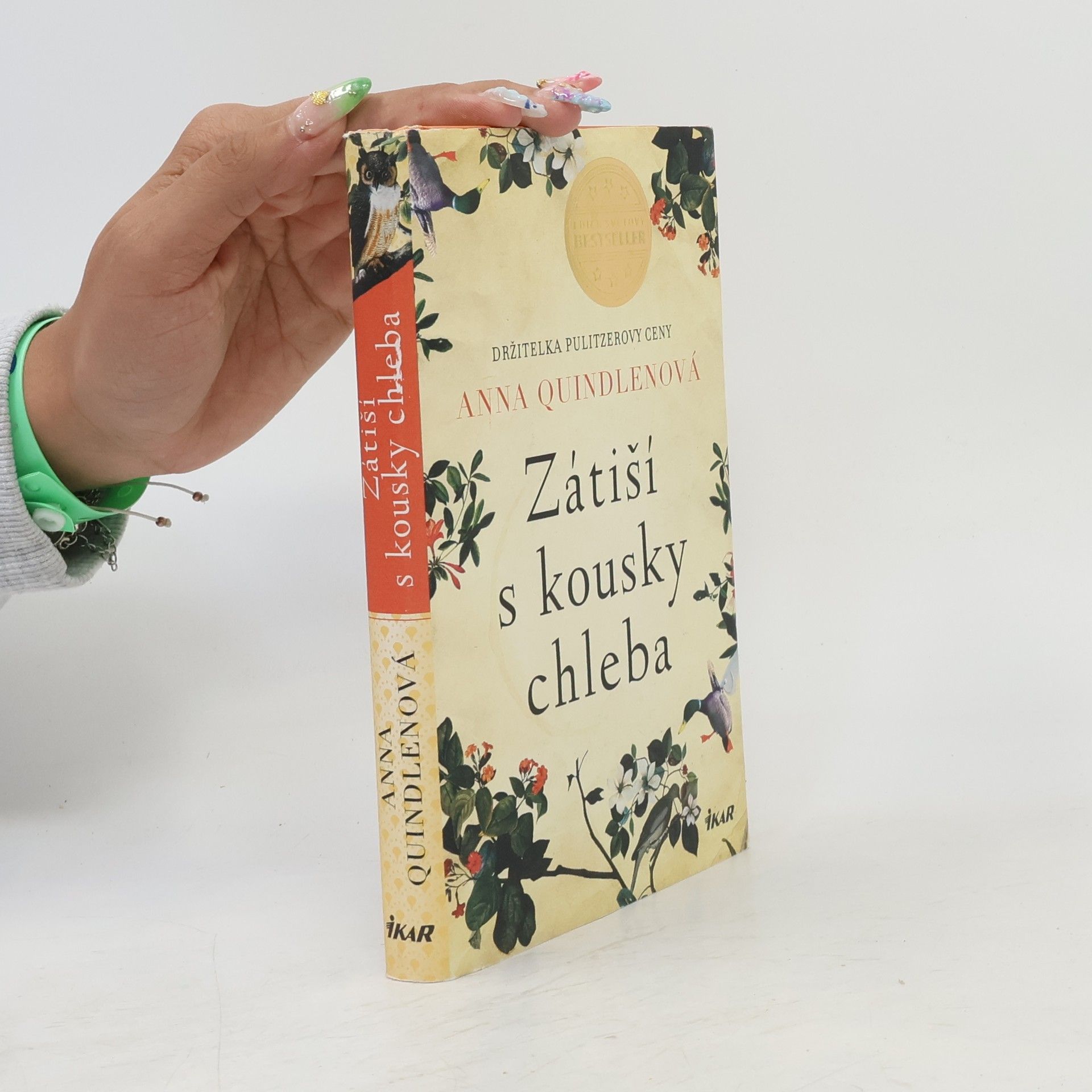 Anna Quindlen Zátiší s kousky chleba