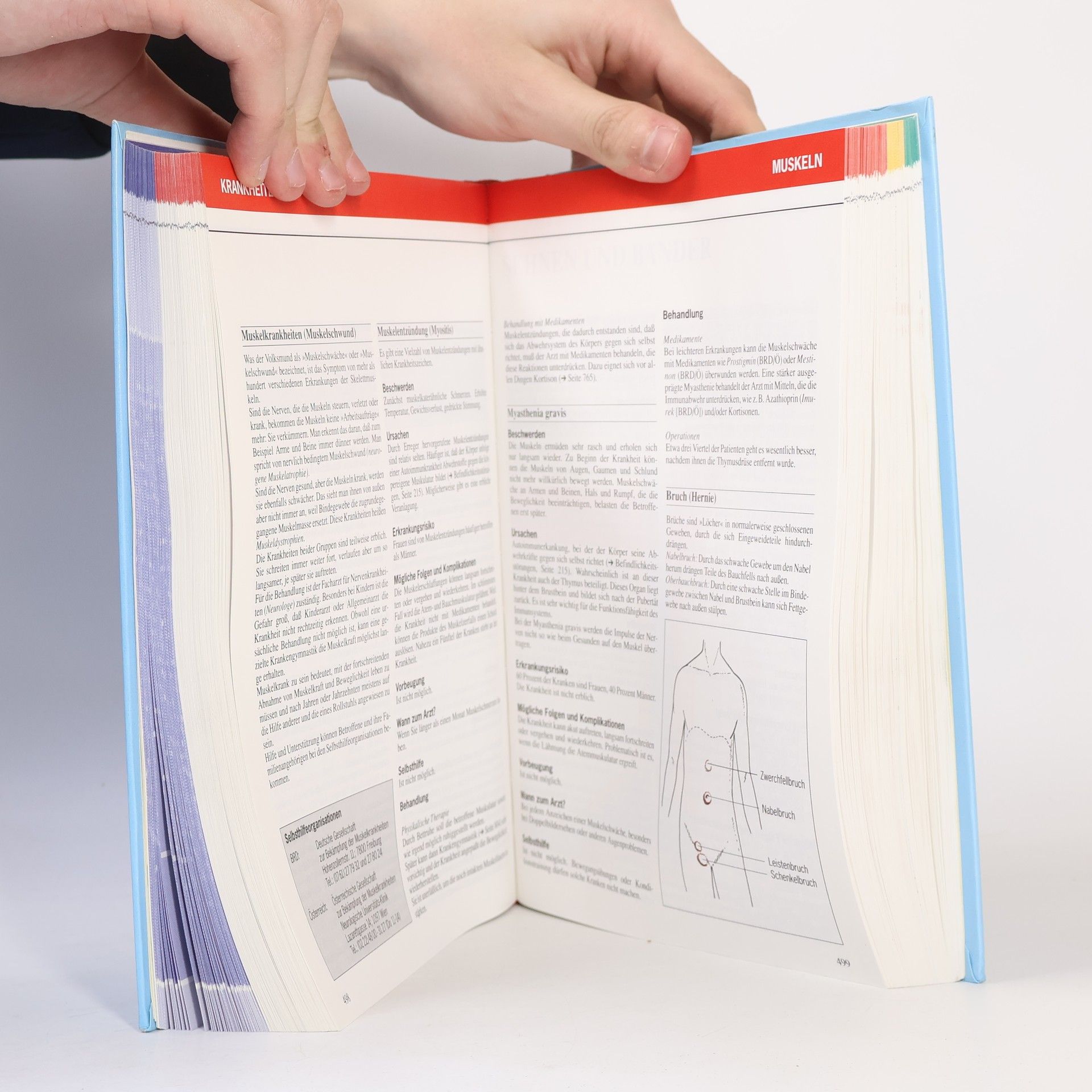 Autores varios Kursbuch Gesundheit. Fahrplan für ein gesundes Leben