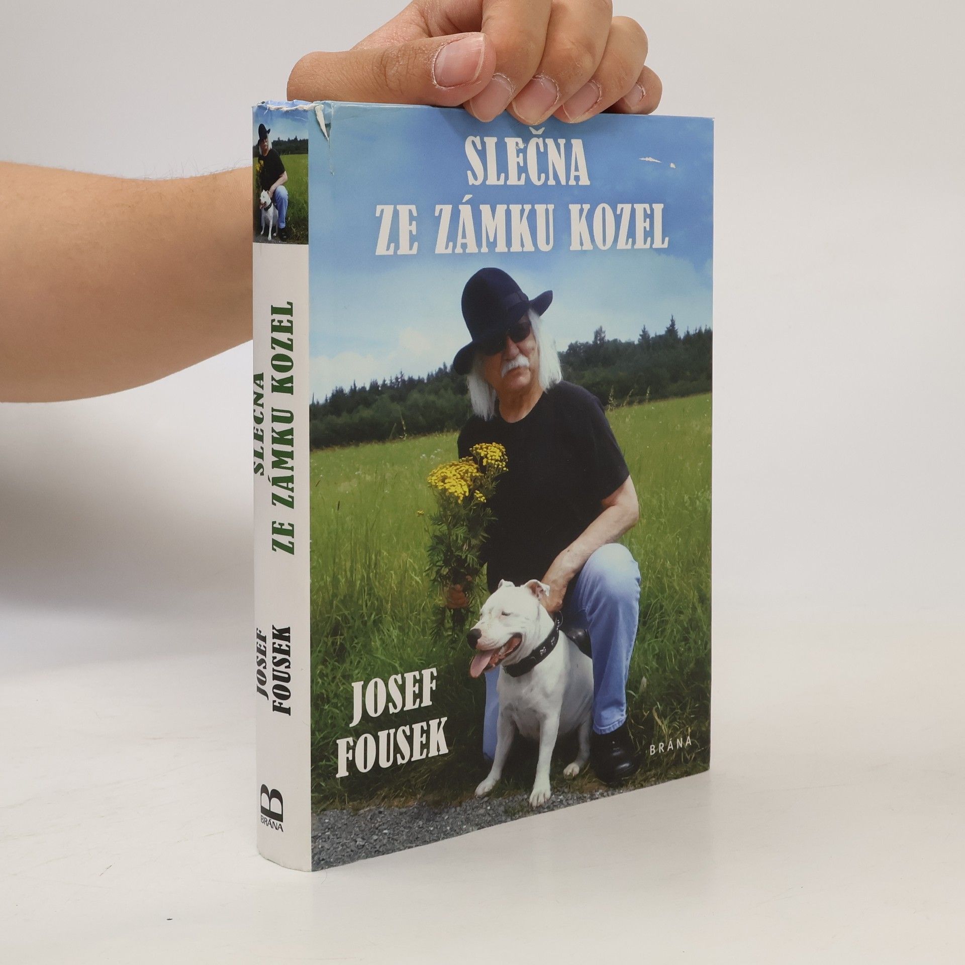 Josef Fousek Slečna ze zámku Kozel