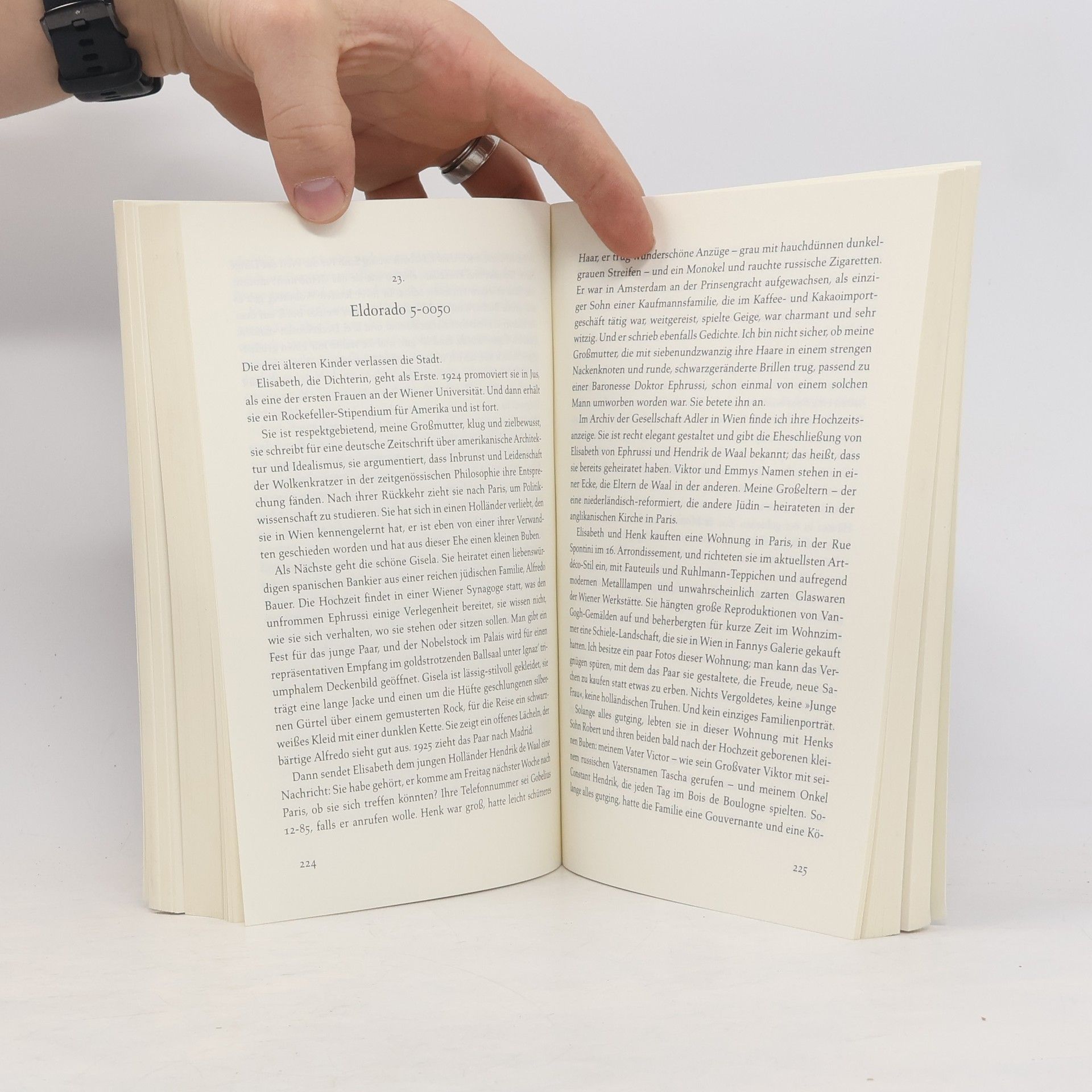 Edmund de Waal Der Hase mit den Bernsteinaugen