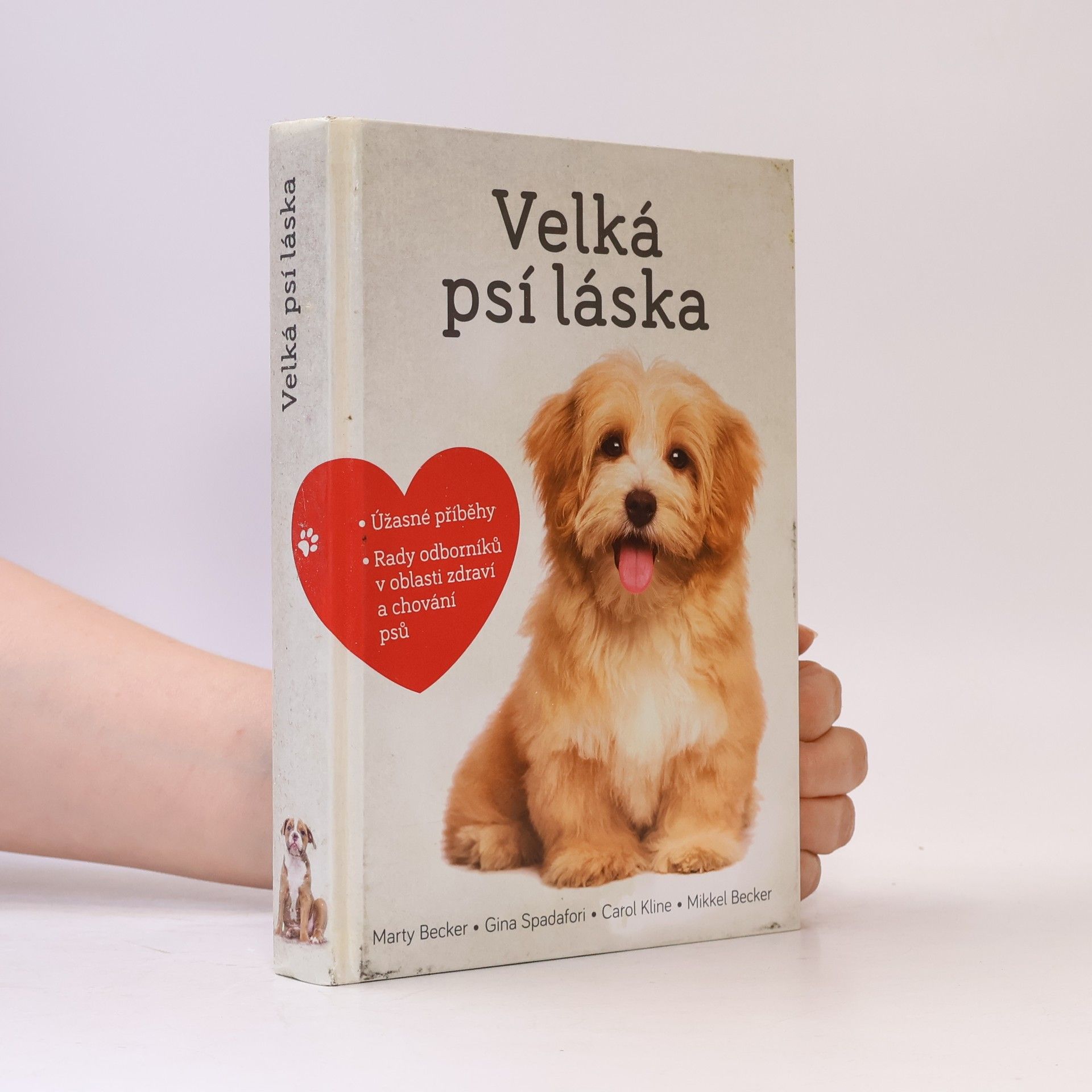 Marty Becker Velká psí láska: Příběhy, rady a úžasné fotografie psích bytostí