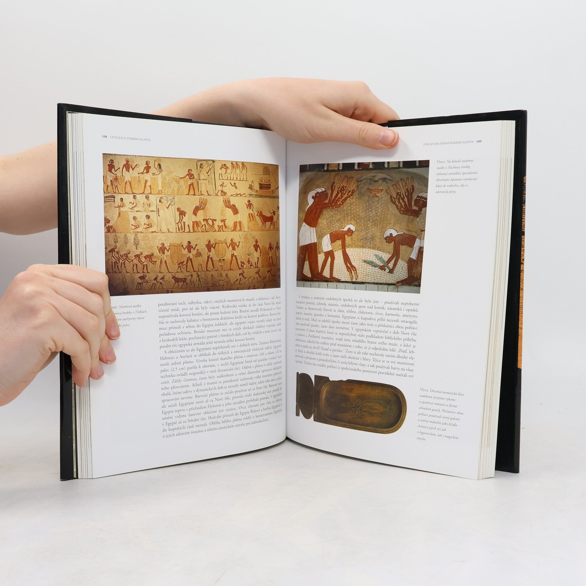 Paul Johnson Civilizace starého Egypta