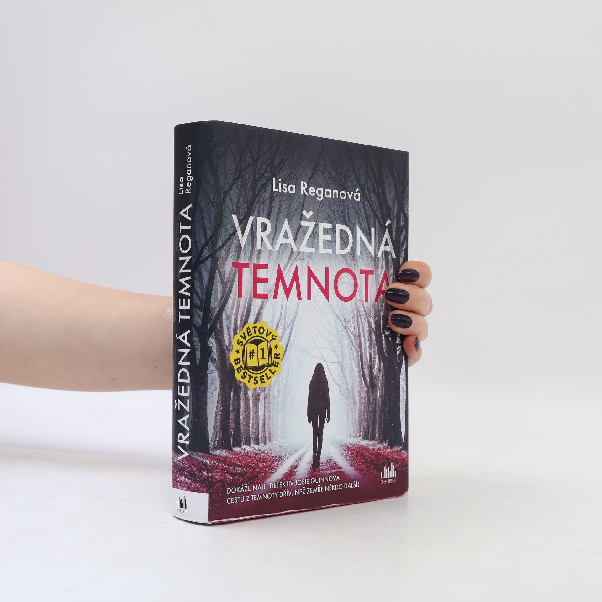Lisa Regan Vražedná temnota