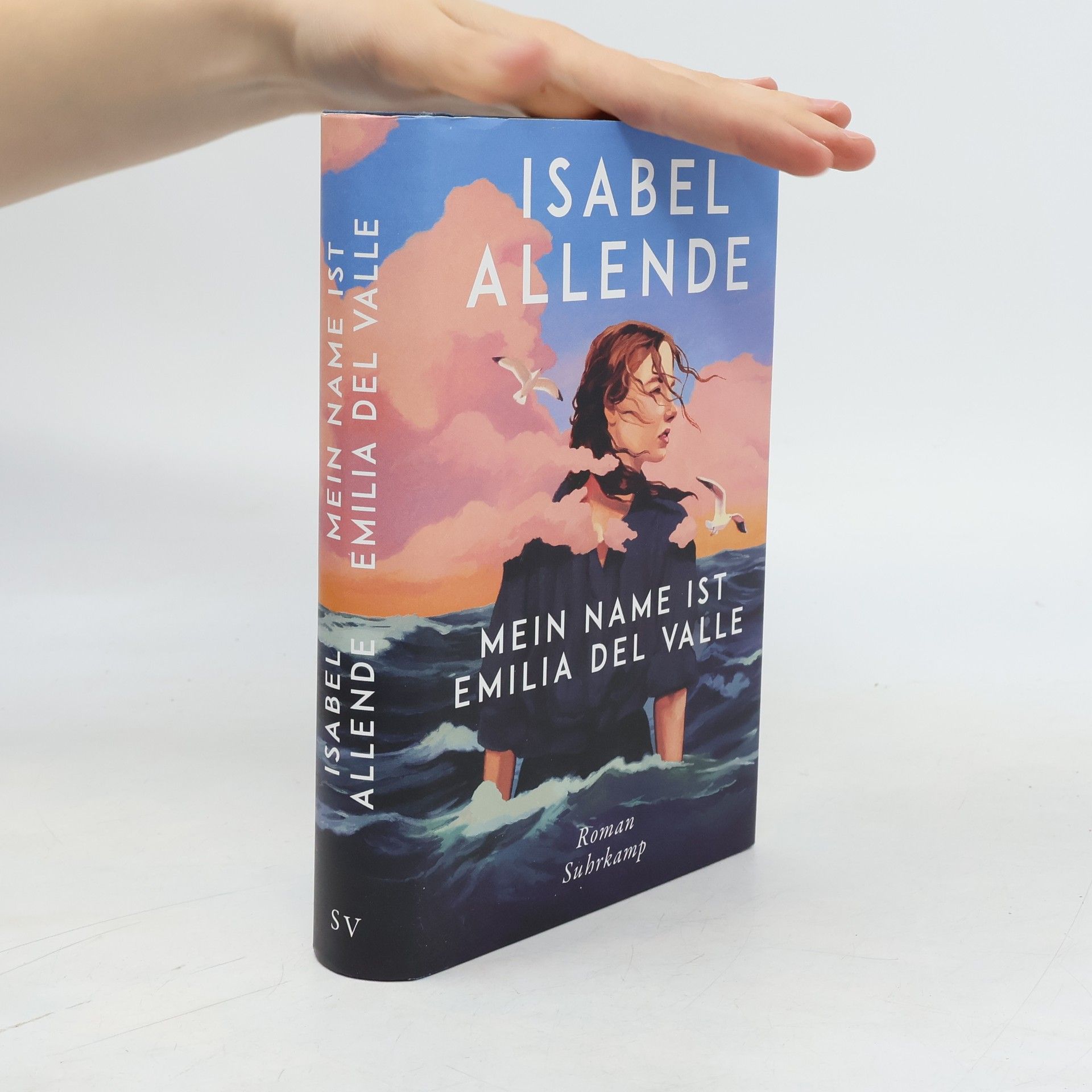 Isabel Allende Mein Name ist Emilia del Valle