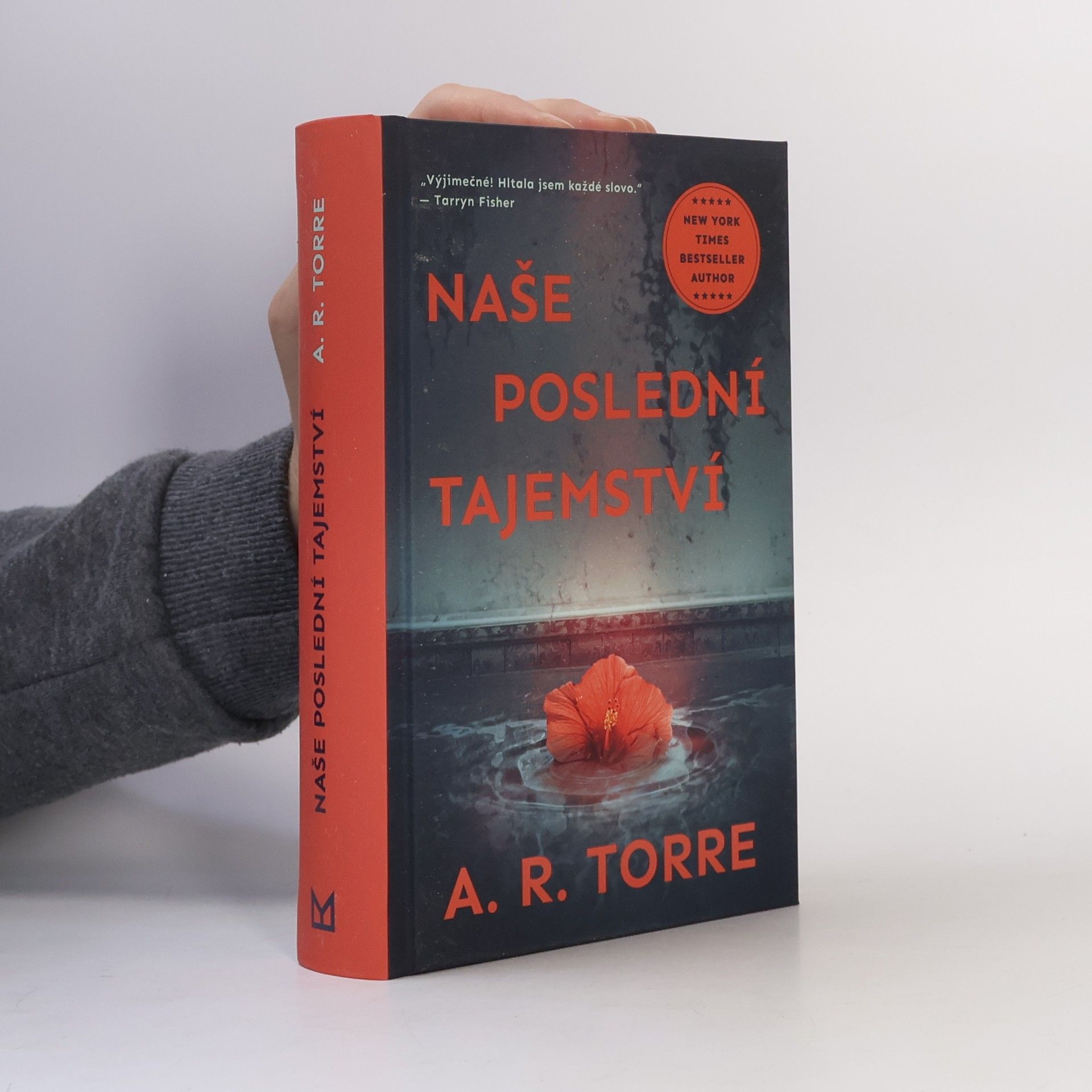 Alessandra Torre Naše poslední tajemství