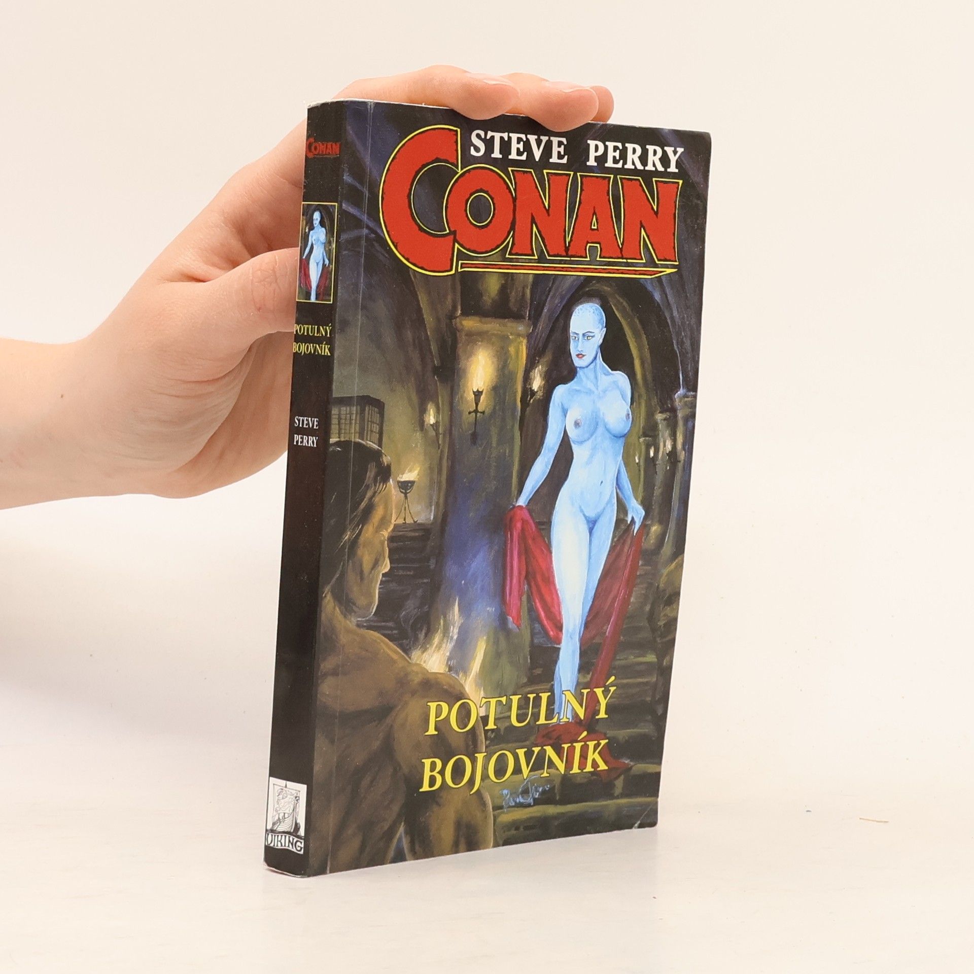 Conan, Potulný bojovník