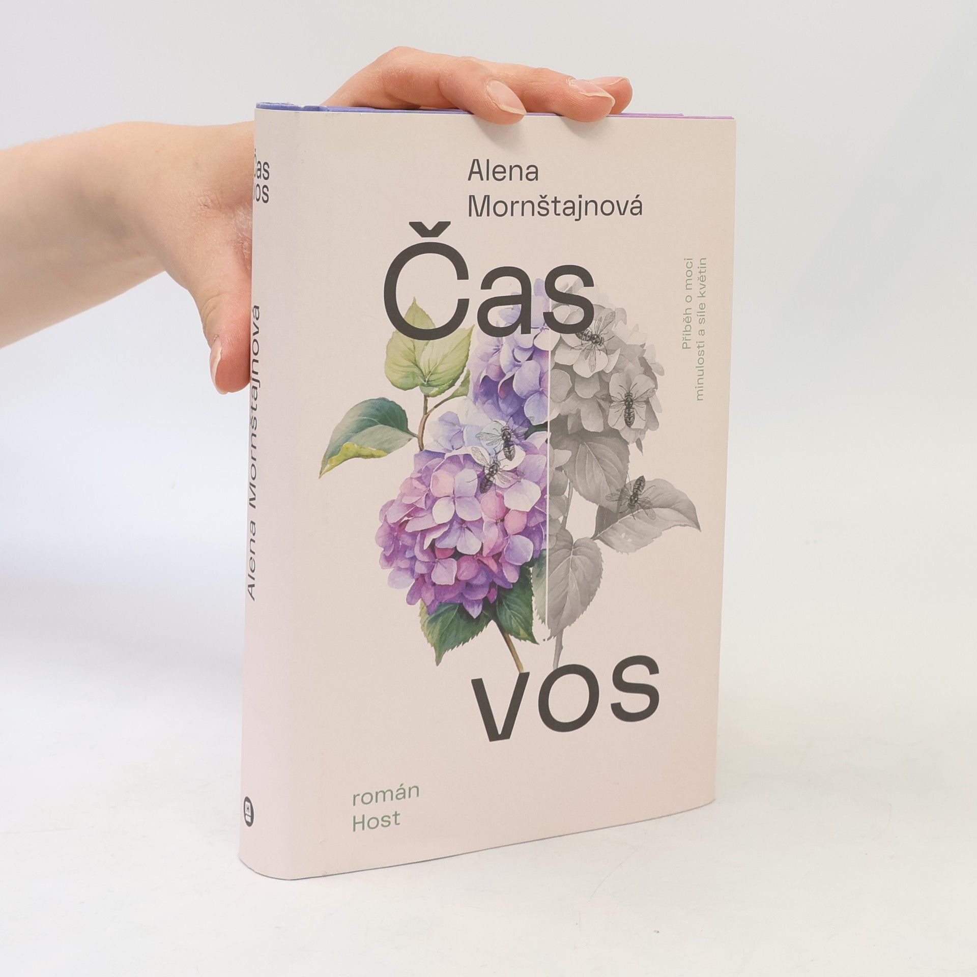 Alena Mornštajnová Čas vos
