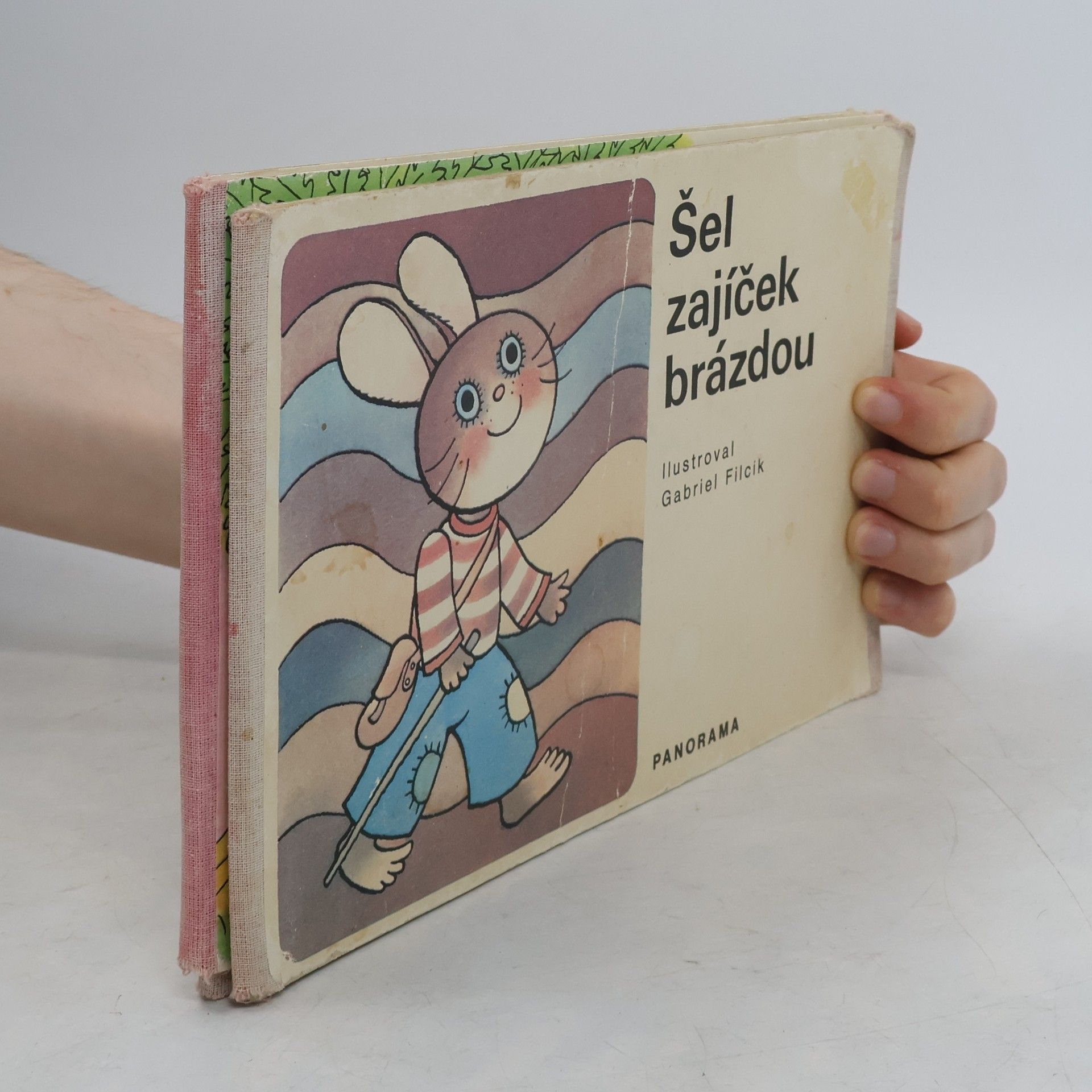 Gabriel Filcík Šiel zajačik brázdičkou