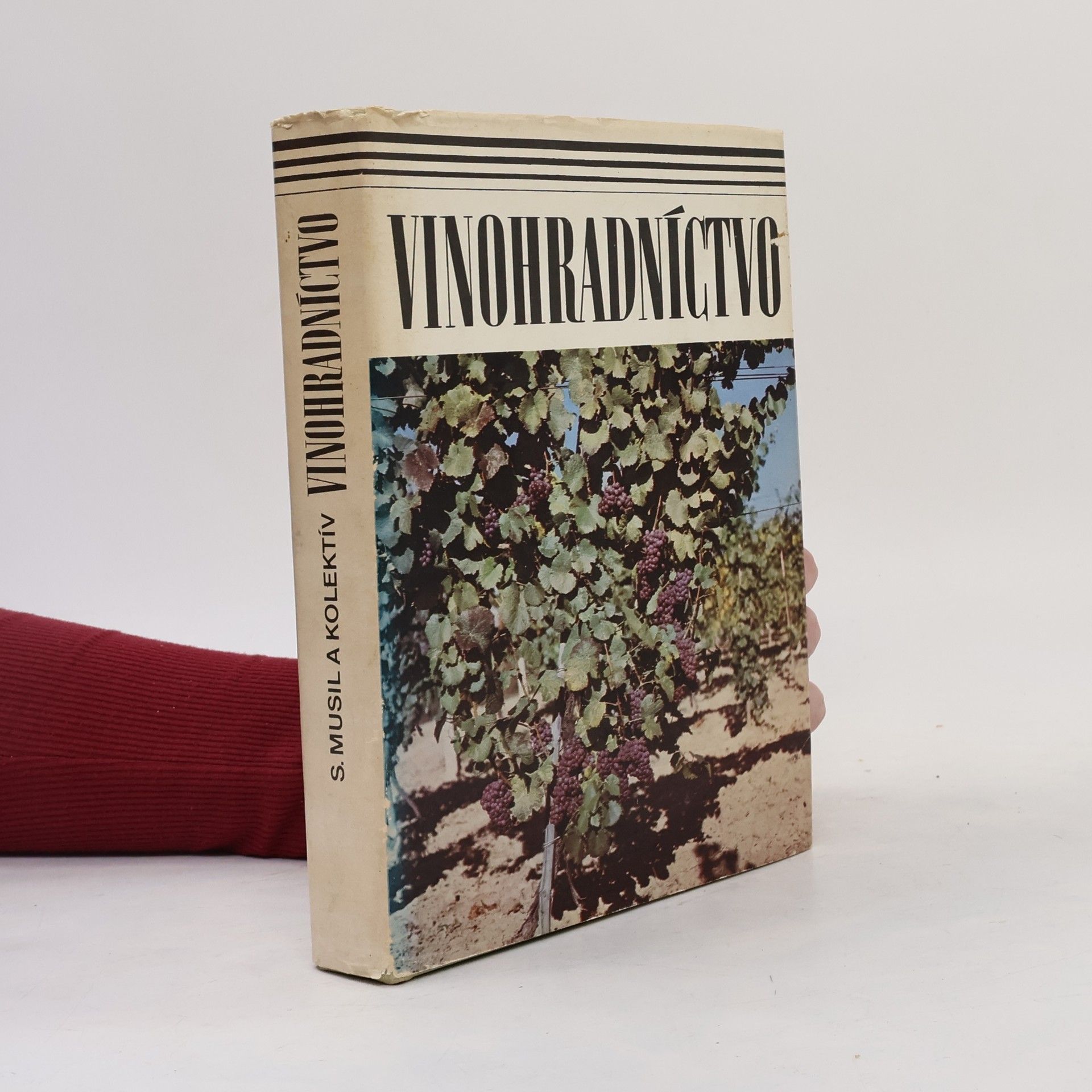 Stanislav Musil Vinohradníctvo