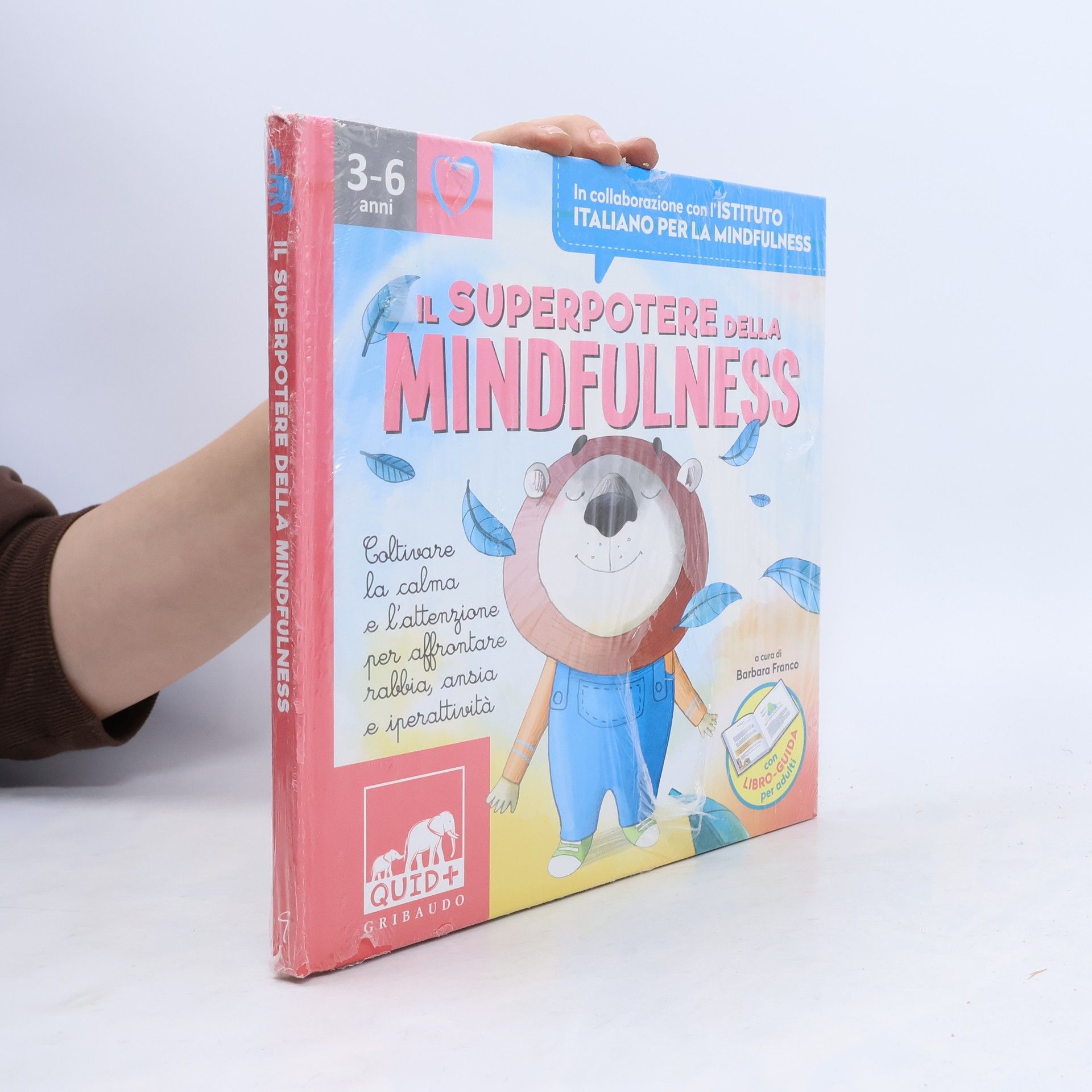 Barbara Franco Il superpotere della mindfulness
